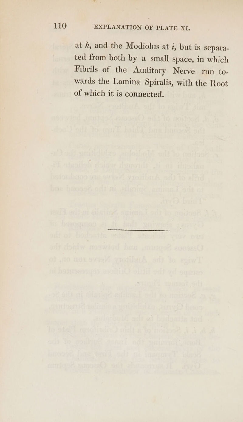 at h, and the Modiolus at ¢, but is separa- ted from both by a small space, in which Fibrils of the Auditory Nerve run to- wards the Lamina Spiralis, with the Root of which it is connected.