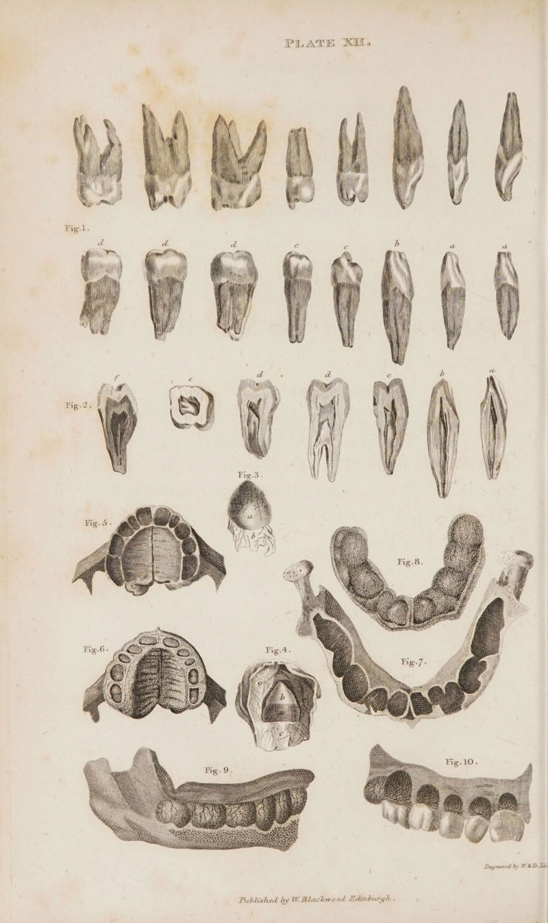 Fig.l. Hii, me a gif (NN) HM HTH HI) HII ii \ WAN Ht } | | } ) } |) iy { Bet ay i ’ | j in ! Pig.2. gut (, i] ; yy iY | | I! i} ] \ Hy) WH \} i atl 1 Wi) | | vi, || 1 | j Engraved by W.&amp;D. Ti: