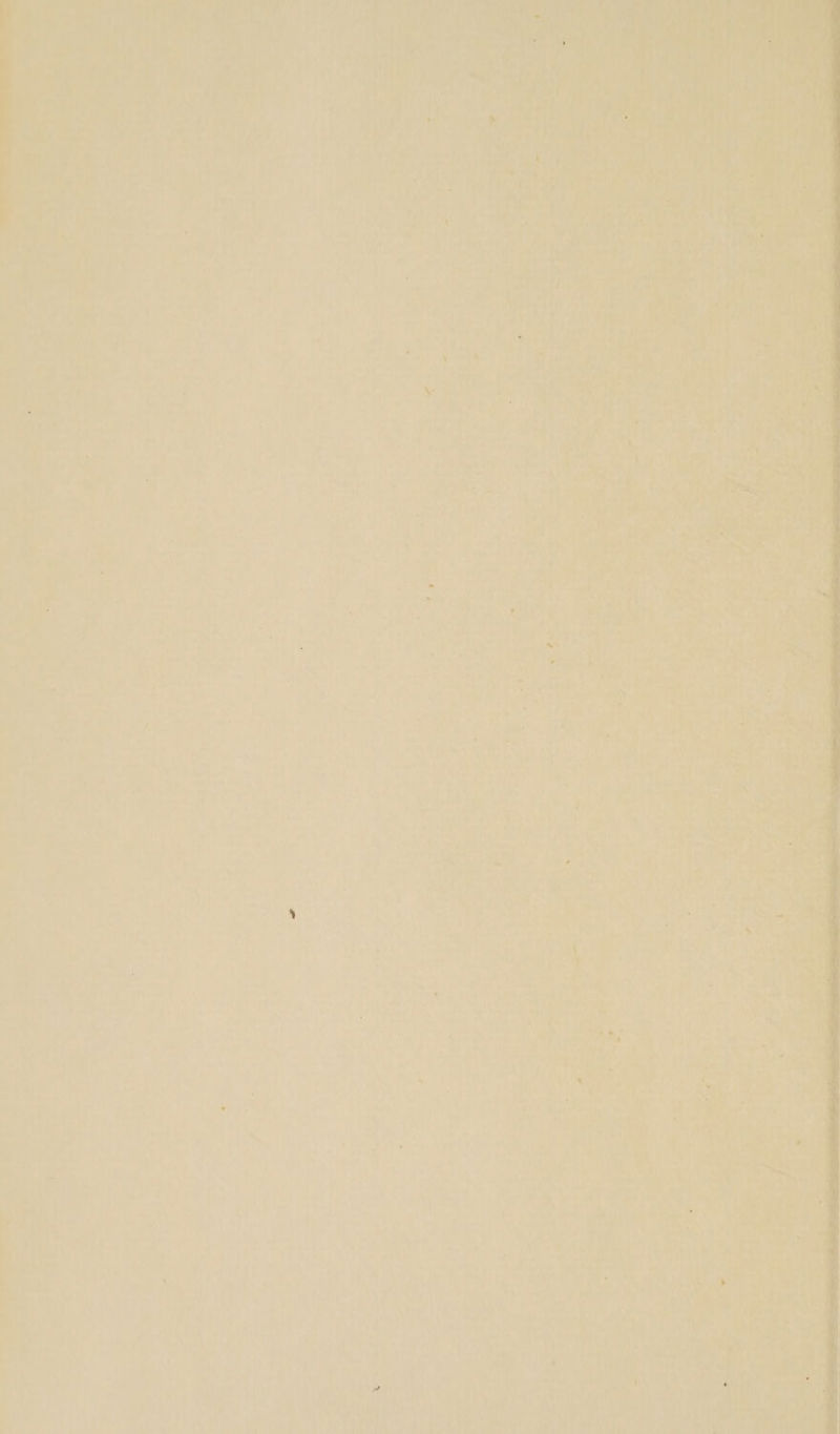, 4 ‘ANin ei t , ? j ie Ne WH xed me ap aaaeene te oh ve) Ay ey | ip ay Ly yd ‘bie! So A ae 1 2 at bud We Ce ree , : + ; ., Like , ote A : 4 » -) he Veer ed Ful 4 ie “ded : ? \% ou Aer a Dre 4 » Pa) bei pt wlitqaie, qr a A ARs