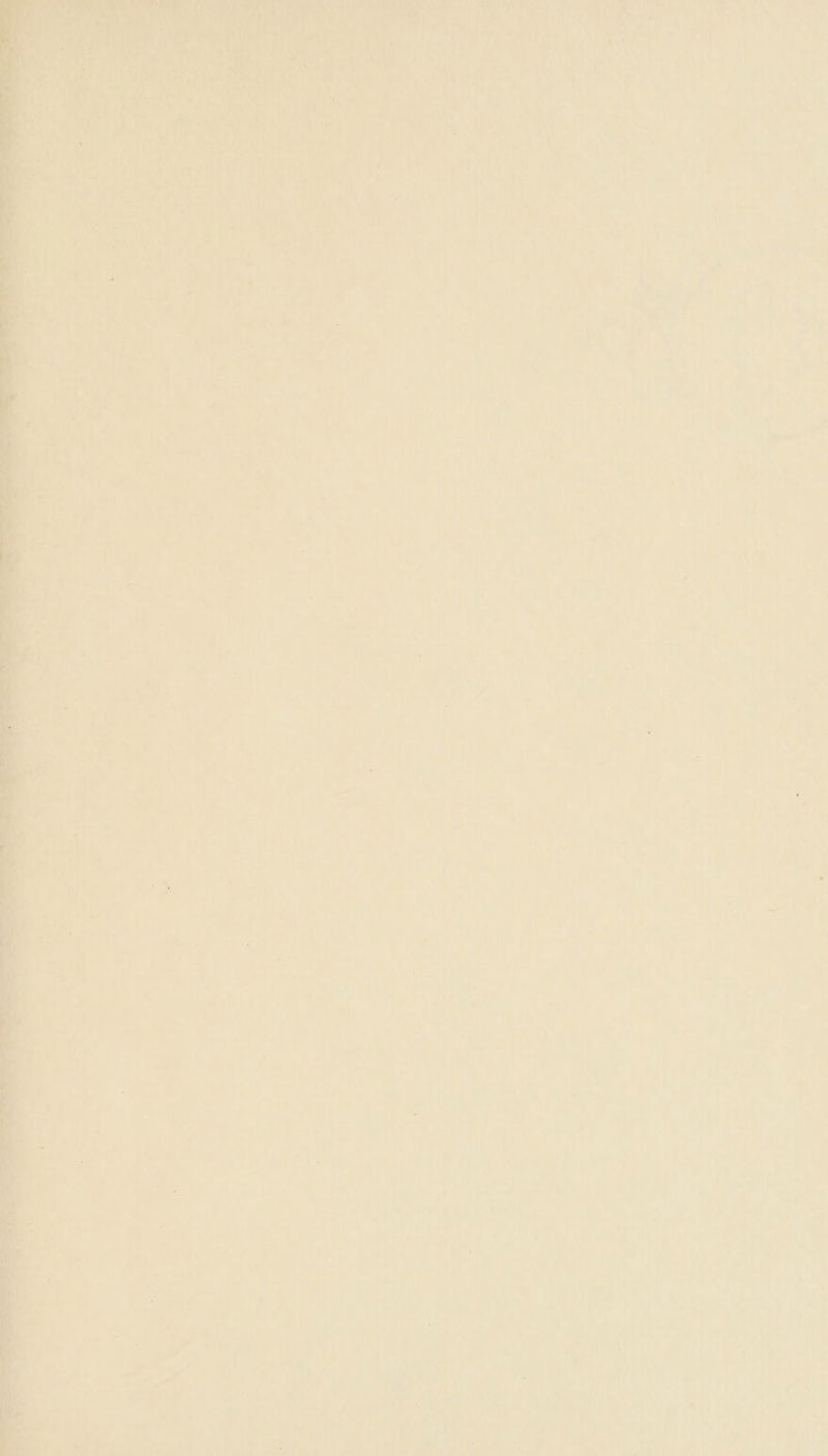 Neue :) an tian * a\ hb ; ; = BS St : : Oo A Sh ’ a ie aa . a) te | Sys , AAD TA en aM hay a? Phi ys >» HA ave i . o ’ _ + Shae eas oN, UNV ae 1 =} ig : iv : er ae AT Fea ei mr! ? : ba ae oer S >: fata ¢