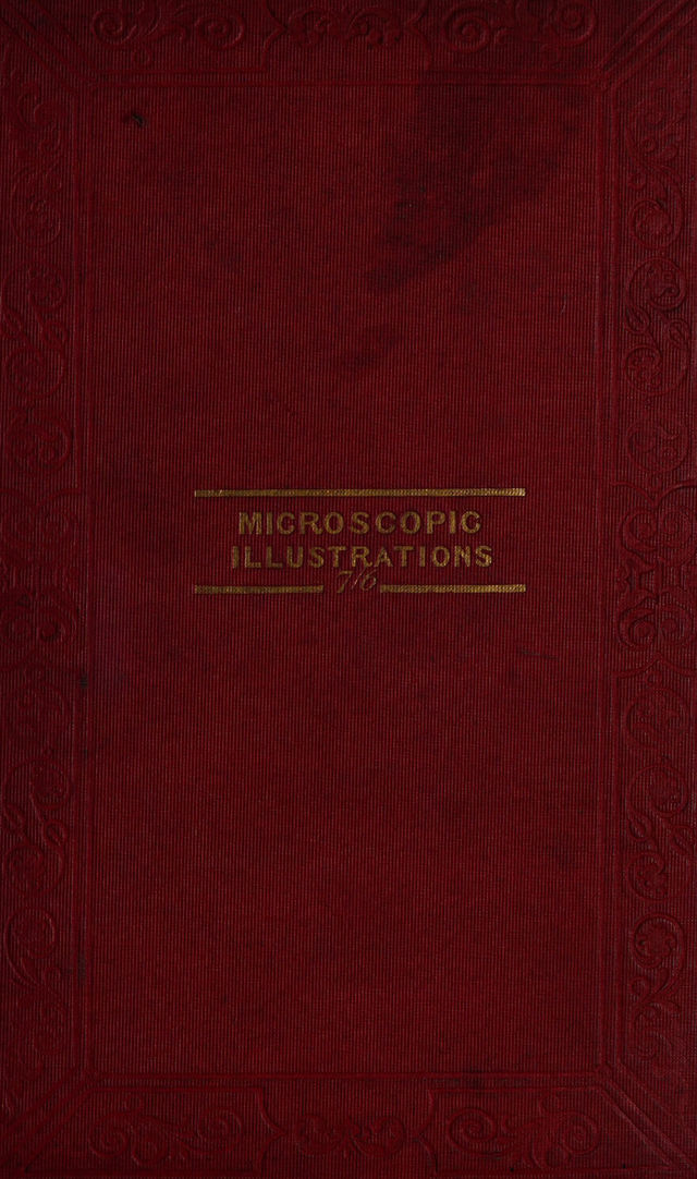 digitised image 1