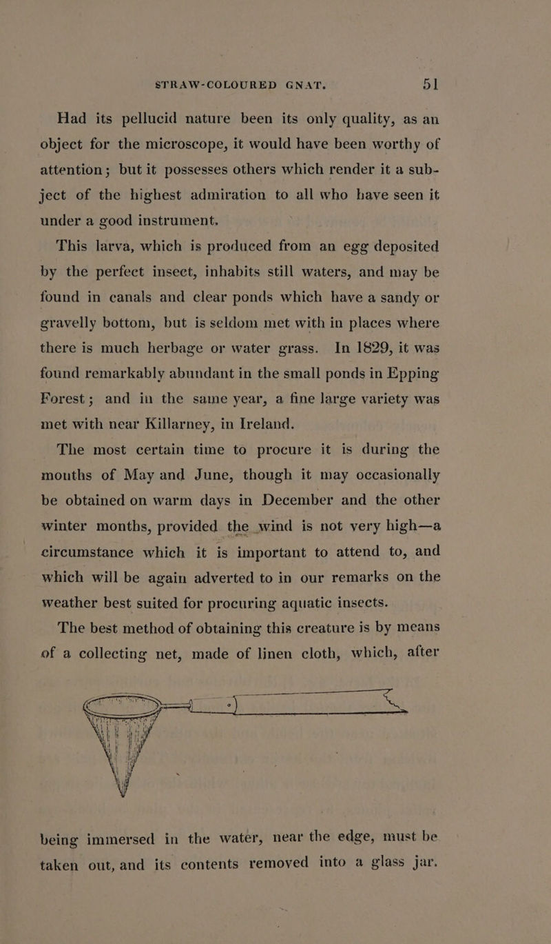 Had its pellucid nature been its only quality, as an object for the microscope, it would have been worthy of attention; but it possesses others which render it a sub- ject of the highest admiration to all who have seen it under a good instrument. This larva, which is produced from an egg deposited by the perfect insect, inhabits still waters, and may be found in canals and clear ponds which have a sandy or gravelly bottom, but is seldom met with in places where there is much herbage or water grass. In 1829, it was found remarkably abundant in the small ponds in Epping Forest; and in the same year, a fine large variety was met with near Killarney, in Ireland. The most certain time to procure it is during the mouths of May and June, though it may occasionally be obtained on warm days in December and the other circumstance which it is important to attend to, and which will be again adverted to in our remarks on the weather best suited for procuring aquatic insects. The best method of obtaining this creature is by means of a collecting net, made of linen cloth, which, after being immersed in the water, near the edge, must be taken out, and its contents removed into a glass jar.