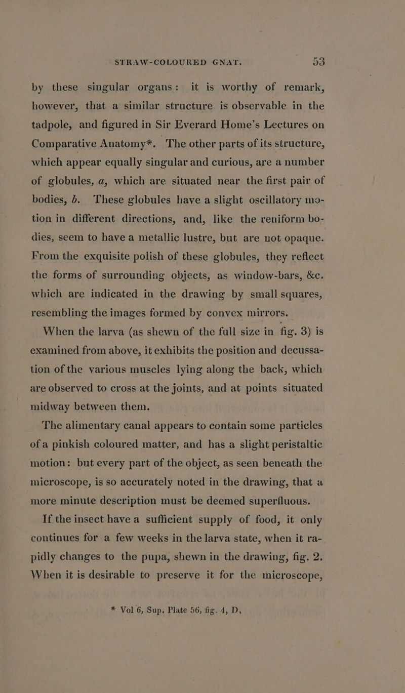 by these singular organs: it is worthy of remark, however, that a similar structure is observable in the tadpole, and figured in Sir Everard Home’s Lectures on Comparative Anatomy*. The other parts of its structure, which appear equally singular and curious, are a number of globules, a, which are situated near the first pair of bodies, 6. These globules have a slight oscillatory mo- tion in different directions, and, like the reniform bo- dies, seem to have a metallic lustre, but are not opaque. From the exquisite polish of these globules, they reflect the forms of surrounding objects, as window-bars, &amp;c. which are indicated in the drawing by small squares, resembling the images formed by convex mirrors. When the larva (as shewn of the full size in fig. 3) is examined from above, it exhibits the position and decussa- tion of the various muscles lying along the back, which are observed to cross at the joints, and at points situated midway between them. The alimentary canal appears to contain some particles of a pinkish coloured matter, and has a slight peristaltic motion: but every part of the object, as seen beneath the microscope, is so accurately noted in the drawing, that a more minute description must be deemed superfluous. If the insect have a sufficient supply of food, it only continues for a few weeks in the larva state, when it ra- pidly changes to the pupa, shewn in the drawing, fig. 2. When it is desirable to preserve it for the microscope, * Vol 6, Sup. Plate 56, fig. 4, D,