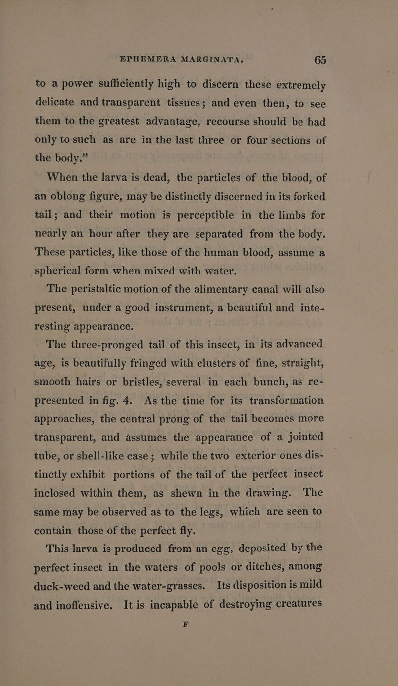 to a power sufficiently high to discern these extremely delicate and transparent tissues; and even then, to see them to the greatest advantage, recourse should be had only tosuch as are in the last three or four sections of the body.” When the larva is dead, the particles of the blood, of an oblong figure, may be distinctly discerned in its forked tail; and their motion is perceptible in the limbs for nearly an hour after they are separated from the body. These particles, like those of the human blood, assume a spherical form when mixed with water. The peristaltic motion of the alimentary canal will also present, under a good instrument, a beautiful and inte- resting appearance. The three-pronged tail of this insect, in its advanced age, is beautifully fringed with clusters of fine, straight, smooth hairs or bristles, several in each bunch, as re- presented in fig. 4. As the time for its transformation approaches, the central prong of the tail becomes more transparent, and assumes the appearance of a jointed tube, or shell-like case ; while the two exterior ones dis- tinctly exhibit portions of the tail of the perfect insect inclosed within them, as shewn in the drawing. ‘The same may be observed as to the legs, which are seen to contain those of the perfect fly. This larva is produced from an egg, deposited by the perfect insect in the waters of pools or ditches, among duck-weed and the water-grasses. Its disposition is mild and inoffensive. It is incapable of destroying creatures F