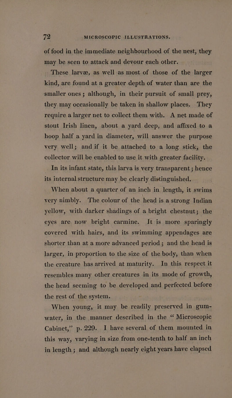 of food in the immediate neighbourhood of the nest, they may be seen to attack and devour each other. These larvee, as well:as most. of those of the larger kind, are found at a greater depth of water than are the ‘smaller ones; although, in their pursuit of small prey, they may occasionally be taken in shallow places. They require a larger net to collect them with. A net made of stout Irish linen, about a yard deep, and affixed to a hoop half a yard in diameter, will answer the purpose very well; andif it be attached to a long stick, the collector will be enabled to use it with greater facility. In its infant state, this larva is very transparent ; hence its internal structure may be clearly distinguished. When about a quarter of an inch in length, it swims very nimbly. The colour of the head is a strong Indian yellow, with darker shadings of a bright chestnut; the eyes are now bright carmine. It is more sparingly covered with hairs, and its swimming appendages are shorter than at a more advanced period; and the head is larger, in proportion to the size of the body, than when the creature has arrived at maturity. In this respect it resembles many other creatures in its mode of growth, the head seeming to be developed and perfected before the rest of the system. 7 When young, it may be readily preserved in gum- water, in the manner described in the “ Microscopic Cabinet,’ p. 229. I have several of them mounted in this way, varying in size from one-tenth to half an inch in length; and although nearly eight years have elapsed