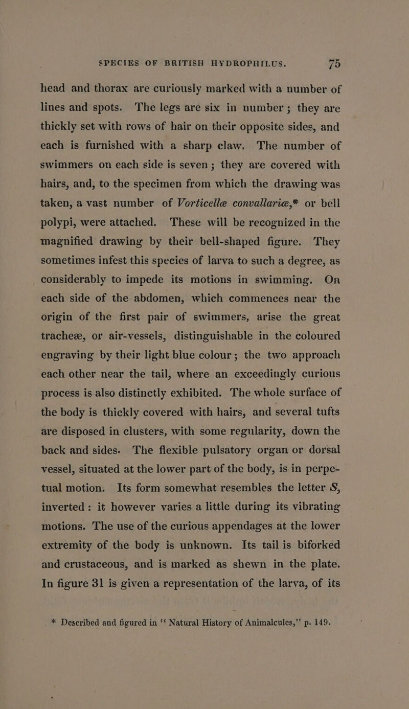 head and thorax are curiously marked with a number of lines and spots. The legs are six in number; they are thickly set with rows of hair on their opposite sides, and each is furnished with a sharp claw. The number of swimmers on each side is seven; they are covered with hairs, and, to the specimen from which the drawing was taken, a vast number of Vorticelle convallarie,* or bell polypi, were attached. These will be recognized in the magnified drawing by their bell-shaped figure. They sometimes infest this species of larva to such a degree, as considerably to impede its motions in swimming. On each side of the abdomen, which commences near the origin of the first pair of swimmers, arise the great trachee, or air-vessels, distinguishable in the coloured engraving by their light blue colour; the two approach each other near the tail, where an exceedingly curious process is also distinctly exhibited. The whole surface of the body is thickly covered with hairs, and several tufts are disposed in clusters, with some regularity, down the back and sides. The flexible pulsatory organ or dorsal vessel, situated at the lower part of the body, is in perpe- tual motion. Its form somewhat resembles the letter S, inverted : it however varies a little during its vibrating motions. The use of the curious appendages at the lower extremity of the body is unknown. Its tail is biforked and crustaceous, and is marked as shewn in the plate. In figure 31 is given a representation of the larva, of its * Described and figured in ‘* Natural History of Animalcules,” p. 149.