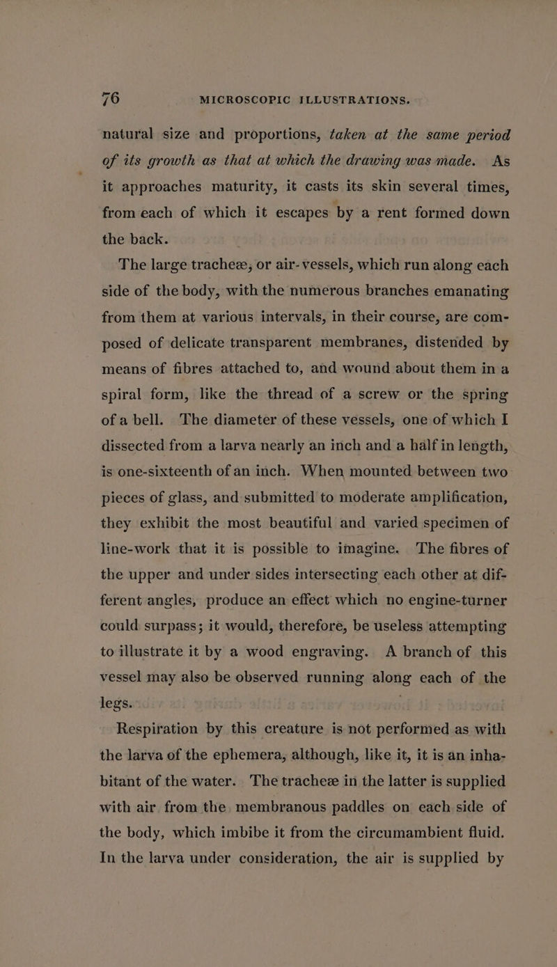 natural size and proportions, taken at the same period of its growth as that at which the drawing was made. As it approaches maturity, it casts its skin several times, from each of which it escapes by a rent formed down the back. The large trachee, or air- vessels, which run along each side of the body, with the numerous branches emanating from them at various intervals, in their course, are com- posed of delicate transparent membranes, distended by means of fibres attached to, and wound about them in a spiral form, like the thread of a screw or the spring of a bell. ‘The diameter of these vessels, one of which I dissected from a larva nearly an inch and a half in length, is one-sixteenth of an inch. When mounted between two pieces of glass, and submitted to moderate amplification, they exhibit the most beautiful and varied specimen of line-work that it is possible to imagine. The fibres of the upper and under sides intersecting each other at dif- ferent angles, produce an effect which no engine-turner could surpass; it would, therefore, be useless attempting to illustrate it by a wood engraving. A branch of this vessel may also be observed running along each of the legs. , Respiration by this creature is not performed as with the larva of the ephemera, although, like it, it is an inha- bitant of the water. The trachee in the latter is supplied with air from the, membranous paddles on each side of the body, which imbibe it from the circumambient fluid. In the larva under consideration, the air is supplied by
