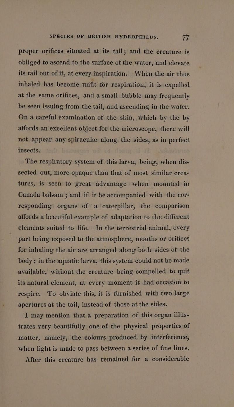 proper orifices situated at its tail; and the creature is obliged to ascend to the surface of the water, and elevate its tail out of it, at every inspiration. When the air thus inhaled has become unfit for respiration, it is expelled at the same orifices, and a small bubble may frequently be seen issuing from the tail, and ascending in the water. On a careful examination of the skin, which by the by affords an excellent object for the microscope, there will not appear any spiracule along the sides, as in perfect insects. | The respiratory system of this larva, being, when dis- sected out, more opaque than that of most similar crea- tures, is seen to great advantage when mounted in Canada balsam ; and if. it be accompanied with the cor- responding organs of a caterpillar, the comparison affords a beautiful example of adaptation to the different elements suited to life. In the terrestrial.animal, every part being exposed to the atmosphere, mouths or orifices for inhaling the air are arranged along both sides of the body ; in the aquatic larva, this system could not be made available, without the creature being compelled to quit its natural element, at every moment it had occasion to respire. To obviate this, it is furnished with two large apertures at the tail, instead of those at the sides. I may mention that a preparation of this organ illus- trates very beautifully one of the physical properties of matter, namely, the colours produced by interference, when light is made to pass between a series of fine lines. After this creature has remained for a considerable