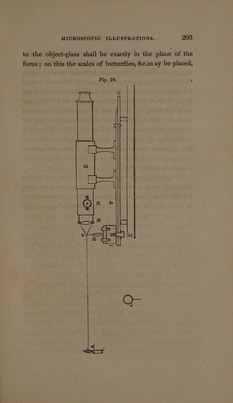 to the object-glass shall be exactly in the plane of the focus ; on this the scales of butterflies, &amp;c.m ay be placed, Fig. 20. i psalt n