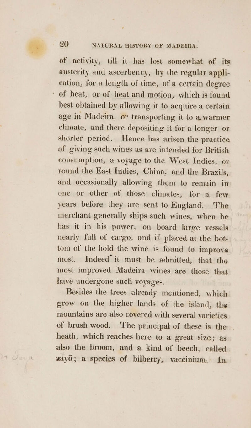of activity, till it has lost somewhat of its austerity and ascerbency, by the regular appli- cation, for a length of time, of a certain degree - of heat, or of heat and motion, which is found best obtained by allowing it to acquire a certain age in Madeira, or transporting it to a. warmer climate, and there depositing it for a longer or shorter period. Hence has arisen the practice of giving such wines as are intended for British consumption, a voyage to the West Indies, or round the East Indies, China, and the Brazils, and occasionally allowing them to remain in one or other of those climates, for a few years before they are sent to England. The merchant generally ships such wines, when he has it in his power, on board large vessels nearly full of cargo, and if placed at the bot- tom of the hold the wine is found to improve most. Indeed it must be admitted, that the most improved Madeira wines are those that have undergone such voyages. Besides the trees already mentioned, which grow on the higher lands of the island, the mountains are also covered with several varieties of brush wood. The principal of these is the heath, which reaches here to a great size; as also the broom, and a kind of beech, called gayO; a species of bilberry, vaccinium. In