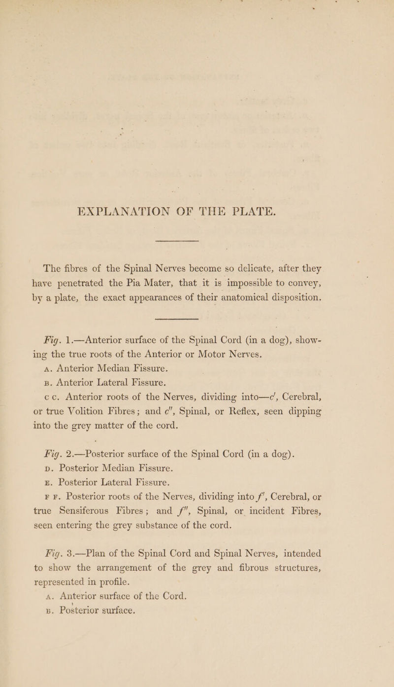 EXPLANATION OF THE PLATE. The fibres of the Spinal Nerves become so delicate, after they have penetrated the Pia Mater, that it is impossible to convey, by a plate, the exact appearances of their anatomical disposition. Fig. 1.—Anterior surface of the Spinal Cord (in a dog), show- ing the true roots of the Anterior or Motor Nerves. a. Anterior Median Fissure. g. Anterior Lateral Fissure. cc. Anterior roots of the Nerves, dividing into—c’, Cerebral, or true Volition Fibres; and c’, Spinal, or Reflex, seen dipping into the grey matter of the cord. fig. 2.—Posterior surface of the Spinal Cord (in a dog). p. Posterior Median Fissure. E. Posterior Lateral Fissure. E F. Posterior roots of the Nerves, dividing into /’, Cerebral, or true Sensiferous Fibres; and /f”, Spinal, or incident Fibres, seen entering the grey substance of the cord. Fig. 3.—Plan of the Spinal Cord and Spinal Nerves, intended to show the arrangement of the grey and fibrous structures, represented in profile. 4. Anterior surface of the Cord. s. Posterior surface.