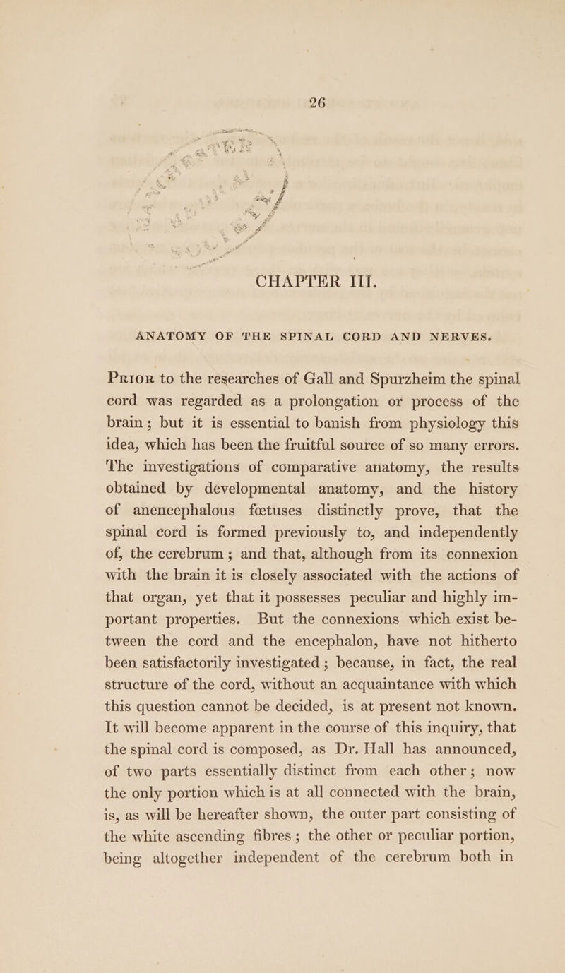 CHAPTER III, ANATOMY OF THE SPINAL CORD AND NERVES. Prior to the researches of Gall and Spurzheim the spinal cord was regarded as a prolongation or process of the brain; but it is essential to banish from physiology this idea, which has been the fruitful source of so many errors. The investigations of comparative anatomy, the results obtained by developmental anatomy, and the history of anencephalous foetuses distinctly prove, that the spinal cord is formed previously to, and independently of, the cerebrum ; and that, although from its connexion with the brain it is closely associated with the actions of that organ, yet that it possesses peculiar and highly im- portant properties. But the connexions which exist be- tween the cord and the encephalon, have not hitherto been satisfactorily investigated ; because, in fact, the real structure of the cord, without an acquaintance with which this question cannot be decided, is at present not known. It will become apparent in the course of this inquiry, that the spinal cord is composed, as Dr. Hall has announced, of two parts essentially distinct from each other; now the only portion which is at all connected with the brain, is, as will be hereafter shown, the outer part consisting of the white ascending fibres; the other or peculiar portion, being altogether independent of the cerebrum both in