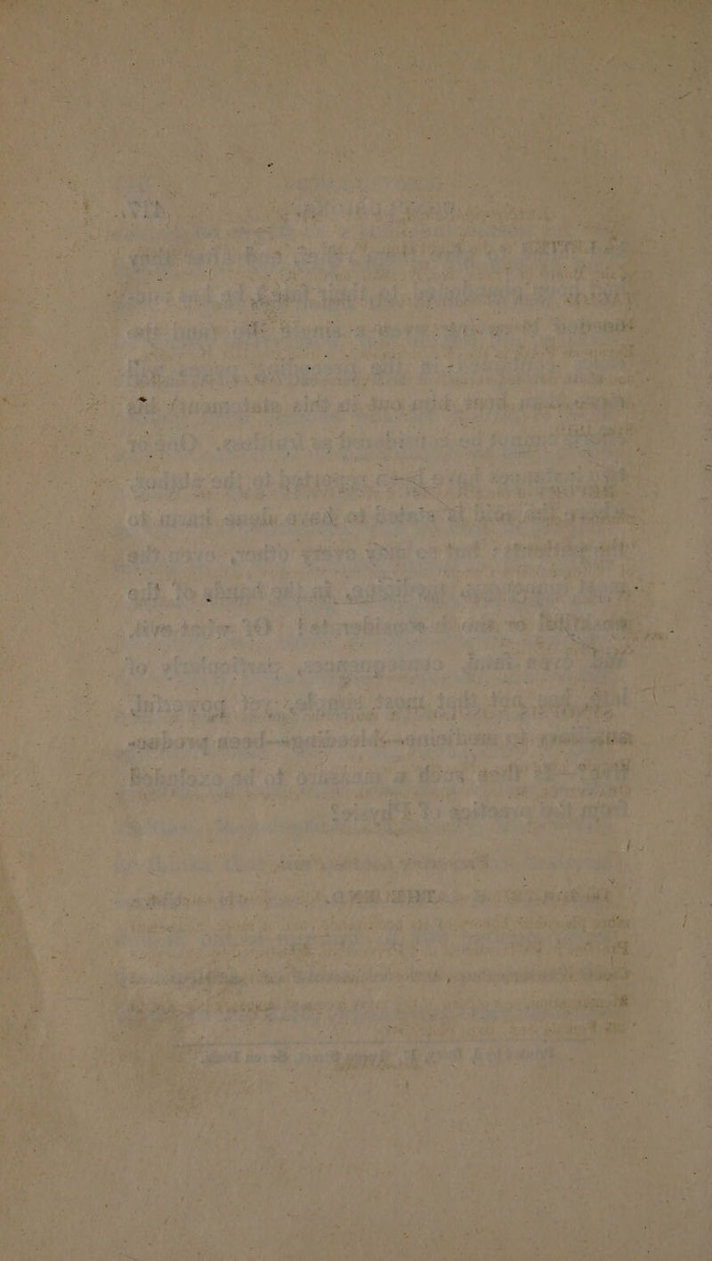 one bee Satire x Rat +S #4 £ aa} ay) : 3 pial ed at, Gu meter AGH)