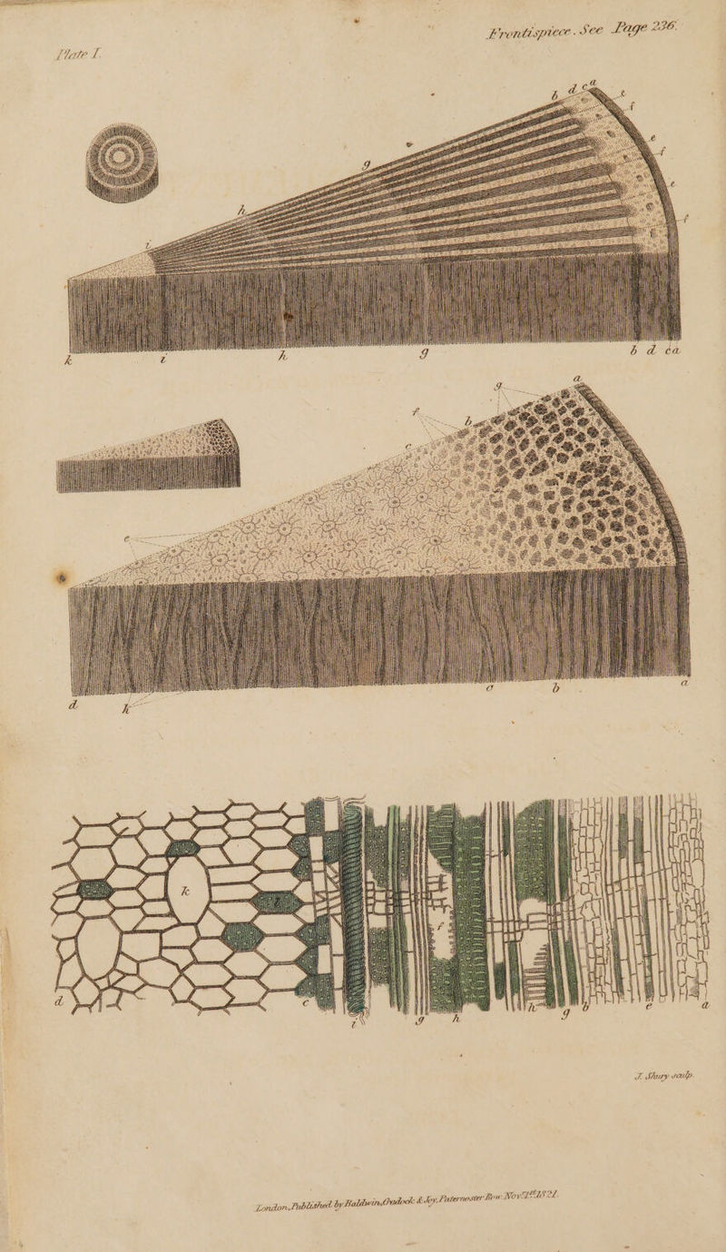 Frontispiece. See Lage 236. J. Stary veulp. Loniton, Publushed by Be aldvir, Gadock &amp; Joy, Paternoster how Ne vISTS 22.