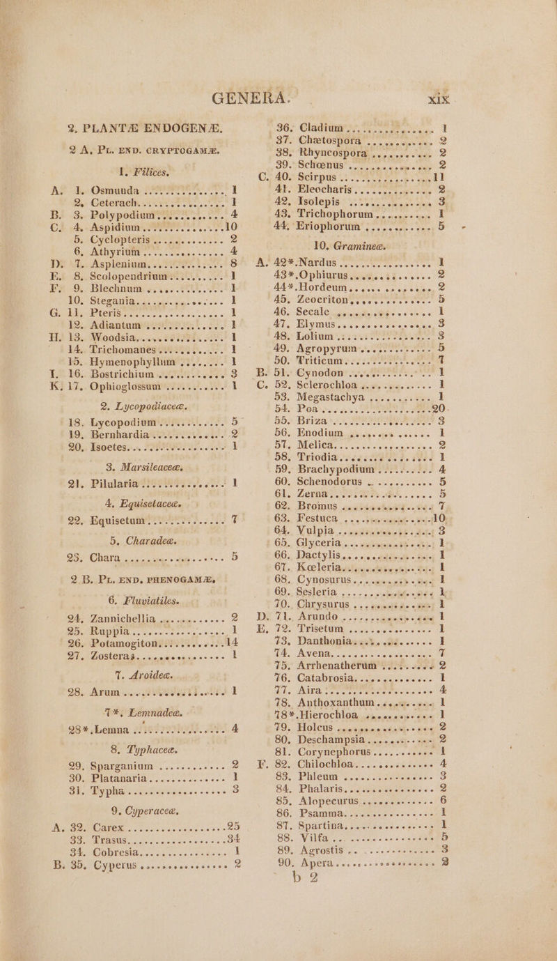 he Osmunda: frre J 2.. Cateracin. oie st... ] Bs .3.. Polypodiunerr sy... &amp; C. 4, Aspidium.......... Pgh Ut Be. Cyeleptegig’ faecs.ses- 2 OA yRIMl,. sae. ss De vi. Aspleninm, syS087.2 25 8 E. 8,.Scolopendrium:......... 1 Fx -9:. Blechnumis; 66.8048 28: ] BO. SteeaNiaa, sponge esses. 2h Pb EIBORDS hele css ss obs ceca ] 12. Adiantum veo Se } Hd 13. Woedsia..... S37 1 14. Trichomanes............ l 15. Hymenophyllum ........ 1 J. 16.. Bostrichium .......-.... 3 K. 17.. Ophioglossam ...........: 1 2. Lycopodiacee. 18. Lycopodiam Rio. oS. 5 19. Bernhardia .......00- ant 2 90,. Isoetes.-... P2ReOR Ne meas - | 3. Marsileacee. ol Pilulatiatie saree ese 1 4A, Equisetacee. 29.. Equisetaiy 207999 1.0... t ; 5. Charadee. 23; Chara eee Peat, lies. sito. 5 2 B. Pu. END, PHENOGAMZ. 6. Fluviatiles. DA Fanmichellia, cc. cess «0+ Z ONG... co oe'e tise &lt;p. 0 sins'e dl 26. Potamogiton.s.:......6.. 14 DE AGONCTAR. vig cies cane 2+ +2 1 1%. Aroidea. 98, AYO: oso SER TS eos 0 @ 1 7*, Lemnadee. 98% Lemna fie e Poi Pee. eT. 4 8. Typhacee. 29. Spatganium-...-.....+.-- 2 30. Platanaria.............- 1 BE. Ey pMa « sens veedise vs esess 3 9. Cyperacee Pics See NOMS, oo Sisiiasiee Same a os Q5 es tM ce real wn orale ees909 6 34 BL. WODVESIA. «s/o vos c oo odie oe 1 2, PLANTA ENDOGEN &amp;. 2 A, Pu. END. CRYPTOGAM. 1, Filices. XIX 36. Cladium’..... 2. Pgh aR 37. Chetospora ........006. 2 38. Rhyncospora ,........-. 2 SO. SCHEBOWS as ee eas eae C.. a0, Sein pus: ee Le veh dl AY? Blecchalis oso ore es mee 2 42. Tevlep is: UScs. waa ese 43, Trichophorum.......... I 44, Eriophorum ,.........-- 5 10, Graminee. Be 42% Nardus ooo re oe ce tee 1 43% Ophiurlg wntiechieses.. 2 AA* Hordeum... .... cosseees. 2 ‘4b. Zeoertony.,. sss es ees. AG. Secale Re teh ses sc I BE BUG MUS. sc Sores oe sie then o 4S. Lolinn.: 5252 Oe Te. S feted) AQ, Agropyrum-.. co. eves ee - 5 50. Triticanrs 27 PP 7 Bs She Cynedeny a08r ee. ark C. 52. Sclerochloa su. ves... ... 1 53. Megastachya .o:....tes 1 DAS POA ois 5 eee ae See 20. 5bo Brizase + eee Saat. fee 3 56... Evod ium. 24.4 Jews dcces | 2 Wilke, WBC MOehs 61 cco Mie os chaise Se « 2 58. Briodia.: e252 3. Vie 1 59, Brachypodium.......... 4 60. Schenodorus — .......... 5 Gl. Lerma ei re oe ee 5 62.. Bromus casiidahdy . tid rf 63.. Festuca... .pne-sekt - pel O: 64. Vulpia ....... winiee SE a6 3 $65,, Glyceria... .. dusseants + 33 1 G6, Dactylis..5, + +»,s,datteutt © fpi- I GT... Koeleriaustis ccldtw siej- ey 1 68. Cynosurus... .....25. se. 1 69. Sesleria . weit see ke 70.. Chrysurus .. a ree 1 DE 7i., ATUDAG .... :.. &gt; &lt;demeds date t EL. 72. Weisetaag 625. des. &lt;3 ose 1 73. Danthonia...%.. Seer I EAs, OVEN, (oats ohne ae 7 75, Arrhenatherum ........6 2 16, Catabrosides Gegee. ss e.. 1 Wis AER Use aes Pee eect ae 4 78, Anthoxanthum . hits ee | 18%. Hierochloa ssecccesee+- I 49; HOLCUS castamasntast + #0 2 80. Deschampsia.........-.- 2 81. Corynephorus........-.. | FP. 82... ChilochiOas:..). ices de'c 5 4 83. . Plilewie ois a sie ees 3 84, Phalaris...... Vibe eet sé: « 2 85. Alopecurus....cc...-+--- 6 S86; Psamuias nccass es. « eee 87. Spartina........ bs jae sae 1 SSM ila ce lacs wed oe peoiae a) 89, AgrostiS .. ..-s-esersees 3