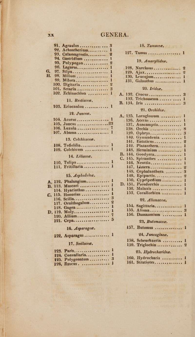 91, Agraulus eoeprreewesepe 3 18, Tamacee, 92. Achnatherium.....:.... 1 93. Calamagrostis.......+.. 2 127. Tamus........ 06:64 Sale e 94, Gastridium one roecesvee 1 19, A llid 95. Polypogon...... pining mio © &gt;: ae 90. MACON, oie vss nsve ov D 128, Narcissus...... ahh. ey Gee er seat ih ake 1 ae oe EL OS. WNC | oo. so a ov ee 130. Leucojum...... ee 7 OD, BOOTS. 4 o:0 nsec beaa's es | 131, Galanthus ............. AOD, Tigitatia . sce cs once oss 2 101. Setaria . ces. c.0.. Lc ahS 20. Iridee, i 102. Rchinochloa ,,.,...... 1 A, 139, CrOCnt 5. suisse oc 133, Trichomema ..,....... B. 134, Lris eCeopoeteCeeoese ae oaeee 21. Orchidee. ll. Restiacee. 103. Eriocaulon ..,......-6. 1 nied cou A. 135, Loroglossum ........-. 104. Acorus........00.. ee | 136, Acetas 2. s.iiewwile si 105, Juncus .......+.. seeeeeddd 137, Anacamptis............ \ i 106. LOUIS. &lt;6.cne cesses &lt;*&gt; 7 138. Orchis BAe io wipieleiete Biola ee ane } i107, Abama coc erp ep eo wp ee enone 1 139. Ophrys sb ce beh eae oa~ ’ 140. Gymuadenia .......... | 13. Colchicacea. 141. Entatiets:s 6 ..&lt;cesie'e sca 108. Tofieldia.......s00,+-- 1 142. Piatanthera...........- i 109. Colchicum ....,..,.-.. 1 143, Herminium ...........- ee B. 144. Goodyera.........0..26 ( 14. Liliaceae. C. 145. Spiranthes ............ 110, Tulipa.....-.-2+eeee- “8 146. Neottia............ 111, Fritillaria ....,........ 4 147, Lastera.... c.sas. ihe wit 148, Cephalanthera ......,. ' 45. Asphodelee, 149, Epipactis....... idekvaie 4 2. AS ame ee | 150. Cypripedium .......... q 5 Be ick pag Fe wet « «Dr ISL, Peendopehis 0) 1506.45 i 114. Hyacinthus.....,..-006 1 152. Malaxis ss eeaceee Saeki Co 1B. Bonet eat ieee A 153, Corallorhiza ..,.....,. | 116, Scilla........ seorsresee DB 22, Alismacee. 117. Ornithogalum.......--- 2 : : } 148. Gagewo.. Via ae a | 154, Sagittaria.............5 1 4 P). 119, Molysss ccs ey oevieled-&lt;% l 153.. AASGOR ; és: ancosbeeeeuce ' 4 Me oj daccua cus dosaht 156. Damasonium ......,,.. ] : 121. CEPA. ons ccccercorssess 5 23, Butomacee. : 16, Asparagee. 157. Butomus .....+..5+,-05 fr 422, Asparagus evvecsenee ses 1 24, Juncaginee. a : 158. Scheuchzeria ...... sews | 17. Smilacee, 159. Triglochia)..5, 0%. .c0. 2 oe | if 123. Paris O08 60 ® peopoesppoeee i 25, Hydrocharidee. [ 124. Convallaria.......-++.. 1 i 495. Polygonatum......+... 3 160, Hydrocharis aeeG Ana's sf | 126, Ruscus . ooeorecesesere } 161. StULIGIGS. .. sean arcce se