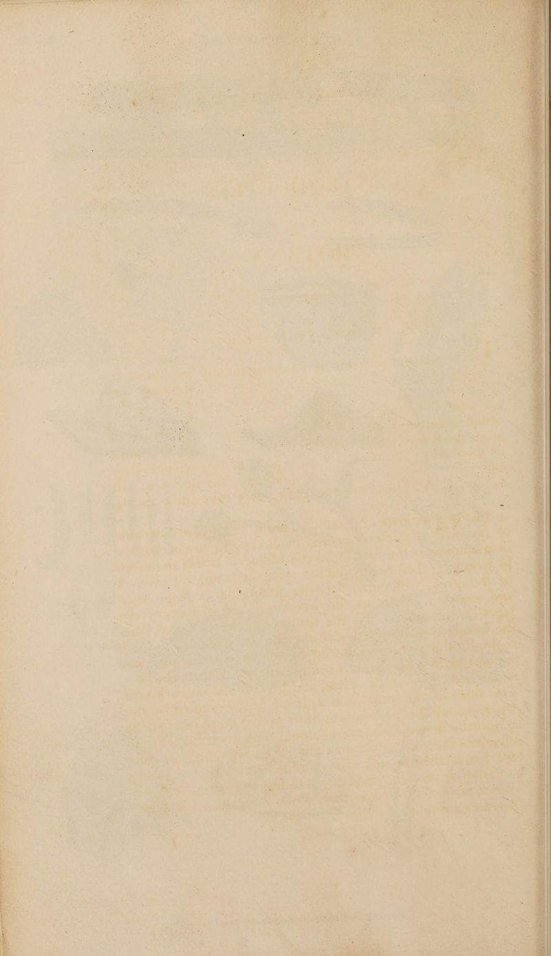 44 3 A a, . F ; Re i . a” ee ARR Ie eee ans ! Sa . Sr, RE. ee ae pe “* mat Sn “seca | i‘ Se ; mg ; er Sec fae bid > ce St Fe ROO AS CP as bi sets Wi ae ts x , b Th ie” ey rey Bae! SS Rec fivk ata ah Bo eae ies, : é ' os | ema tay Re Ay 1 ont BS i, fh bases ~ ‘ Fr, . é sat \ ; 3 ‘i el r
