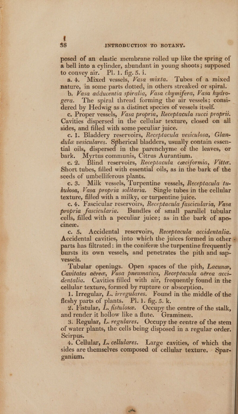 z { e $8 INTRODUCTION TO BOTANY. posed of an elastic membrane rolled up like the spring of a bell into a cylinder, abundant in young shoots; supposed to convey air. Pl. 1. fig. 5. 1. a. 4. Mixed vessels, Vasa mixta. Tubes of a mixed nature, in some parts dotted, in others streaked or spiral. b. Vasa adducentia spiralia, Vasa chymifera, Vasa hydro- gera. The spiral thread forming the air vessels; consi-_ dered by Hedwig as a distinct species of vessels itself. c. Proper vessels, Vasa propria, Receptacula succi proprit. Cavities dispersed in the cellular texture, closed on all sides, and filled with some peculiar juice. c. 1. Bladdery reservoirs, Receptacula vesiculosa, Glan- dule vesiculares. Spherical bladders, usually contain essen- tial oils, dispersed in the parenchyme of the leaves, or bark. Myrtus communis, Citrus Aurantium. | c.2. Blind reservoirs, Recepiacula ceeciformia, Vitte. Short tubes, filled with essential oils, as in the bark of the seeds of umbelliferous plants. c. 3. Milk vessels, Turpentine vessels, Receptacula tu- bulosa, Vasa propria solitaria, Single tubes in the cellular texture, filled with a milky, or turpentine juice. c.4. Fascicular reservoirs, Receptacula fascicularia, Vasa propria fascicularia. Bundles of small parallel tubular cells, filled with a peculiar juice; as in the bark of apo- cineze. | c. 5. Accidental reservoirs, Receptacula accidentalia. Accidental cavities, into which the juices formed in other @ parts has filtrated: in the coniferz the turpentine frequently bursts its own vessels, and penetrates the pith and sap- vessels. Tubular openings. Open spaces of the pith, Lacune, Cavitates aéree, Vasa pneumatica, Receptacula aérea acci- dentalia. Cavities filled with air, frequently found in the cellular texture, formed by rupture or absorption. 1. Irregular, L. trregulares. Found in the middle of the fleshy parts of plants. Pl. 1. fig. 5. k. 2. Fistular, L. fistulose. Occupy the centre of the stalk, and render it hollow like a flute. Graminee. 3. Regular, L. regulares. Occupy the centre of the stem of water plants, the cells being disposed in a regular order. Scirpus. - 4. Cellular, L. cellulares. Large cavities, of which the. sides are themselves composed of cellular texture. - Spar- ganium.