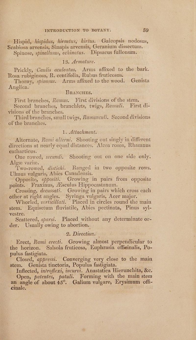» Hispid, hispidus, hirsutus, hirtus. Gaieopsis nodosus, Scabiosa arvensis, Sinapis arvensis, Geranium dissectum. Spinose, spinellosus, echinatus. Dipsacus fullonum. 13. Armature. Prickly, “Caulis aculeatus. Arms affixed to the bark. Rosa rubiginosa, R. centifolia, Rubus fruticosus. Thorny, spinosus. Arms affixed to the wood. Genista Anglica. | BRANCHES. First branches, Ramus. First divisions of the stem. Second branches, branchlets, twigs, Ramuli. First di- visions of the branches. Third branches, small twigs, Ramunculi. Second divisions of the branches. 1. Attachment. Alternate, Rami alierni. Shooting out singly in different directions at nearly equal distances. Alcea rosea, Rhamnus catharticus. One rowed, secundi. Shooting out on one side only. Algee varie. : ‘Two-rowed, distichi. Ranged in two opposite rows. Ulmus vulgaris, Abies Canadensis. Opposite, oppositz. Growing in pairs from opposite points. Fraxinus, Ausculus Hippocastanum. Crossing, decussat?. Growing in pairs which cross each other at right angles. Syringa vulgaris, Acer major. Wohorled, verticillati. Placed in circles round the main stem. Equisetum fluviatile, Abies pectinata, Pinus syl- vestre. Scattered, sparst. Placed without any determinate or- der. Usually owing to abortion. 2, Direction. Erect, Rami erecti. Growing almost perpendicular to the horizon. ‘Salsola fruticosa, Kuphrasia offieinalis, Po- pulus fastigiata. Closed, appressi. Converging very close to the main stem. Genista tinctoria, Populus fastigiata. Inflected, in/roflexi, incurvi. Anastatica Hierunchita, &amp;c. Open, patentes, patuli. Forming with the main stem an nate of about 45°. Galium vulgare, Erysimum offi- cinale. eo