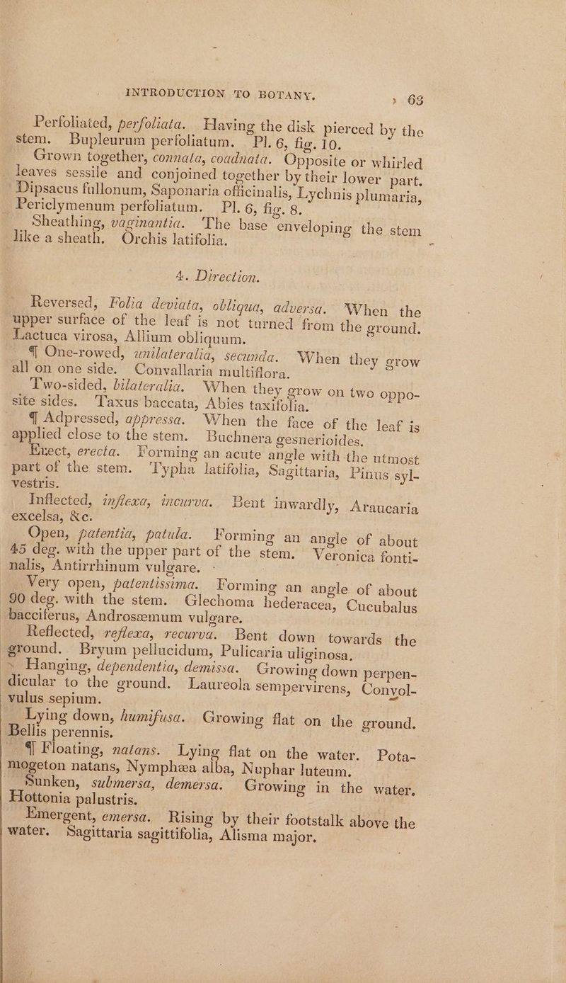 Perfoliated, perfoliata. ‘Having the disk pierced by the stem. Bupleurum perfoliatum. PI. 6, fio. 10. Grown together, connata, coadnata. Opposite or whirled leaves sessile and conjoined together by their lower part. Dipsacus fullonum, Saponaria officinalis, Lychnis plumaria, Periclymenum perfoliatum. PI. 6, fig. 8, Sheathing, vaginantia. The base enveloping the stem like a sheath. Orchis latifolia. , A. Direction. Reversed, Folia deviata, obliqua, adversa. When the upper surface of the leaf is not turned from the ground. Lactuca virosa, Allium obliquum. §| One-rowed, wnilateralia, secunda. When they grow all on one side. Convallaria multiflora. Two-sided, bilateralia. When they grow site sides. ‘Taxus baccata, Abies taxifolia. q Adpressed, appressa. When the face of the leaf is applied close to the stem. Buchnera gesnerioides, Exect, erecta. Forming an acute angle with the utmost part of the stem. ‘Typha latifolia, Sagittaria, Pinus syl- vestris. Inflected, inflexa, incurva. Bent inwardly, Araucaria excelsa, Xe. Open, patentia, patula. Forming an angle of about 45 deg. with the upper part of the stem, Veronica fonti- nalis, Antirrhinum vulgare. : Very open, patentissima. Forming an angle of about 90 deg. with the stem. Glechoma hederacea, Cucubalus —bacciferus, Androsseemum vulgare. Reflected, reflexa, recurva. Bent down towards the ground. Bryum pellucidum, Pulicaria uliginosa, ~ Hanging, dependentia, demissa. Growing down perpen- dicular to the ground. Laureola sempervirens, Conyol- vulus sepium. oy? Lying down, humifusa. Growing flat on the ground, Bellis perennis. oe {| Floating, natans. Lying flat on the water. Pota- mogeton natans, Nymphea alba, N uphar luteum. Sunken, submersa, demersa. Growing in the water, Hottonia palustris. | : Emergent, emersa. Rising by their footstalk aboye the water. Sagittaria sagittifolia, Alisma major. on two oppo-