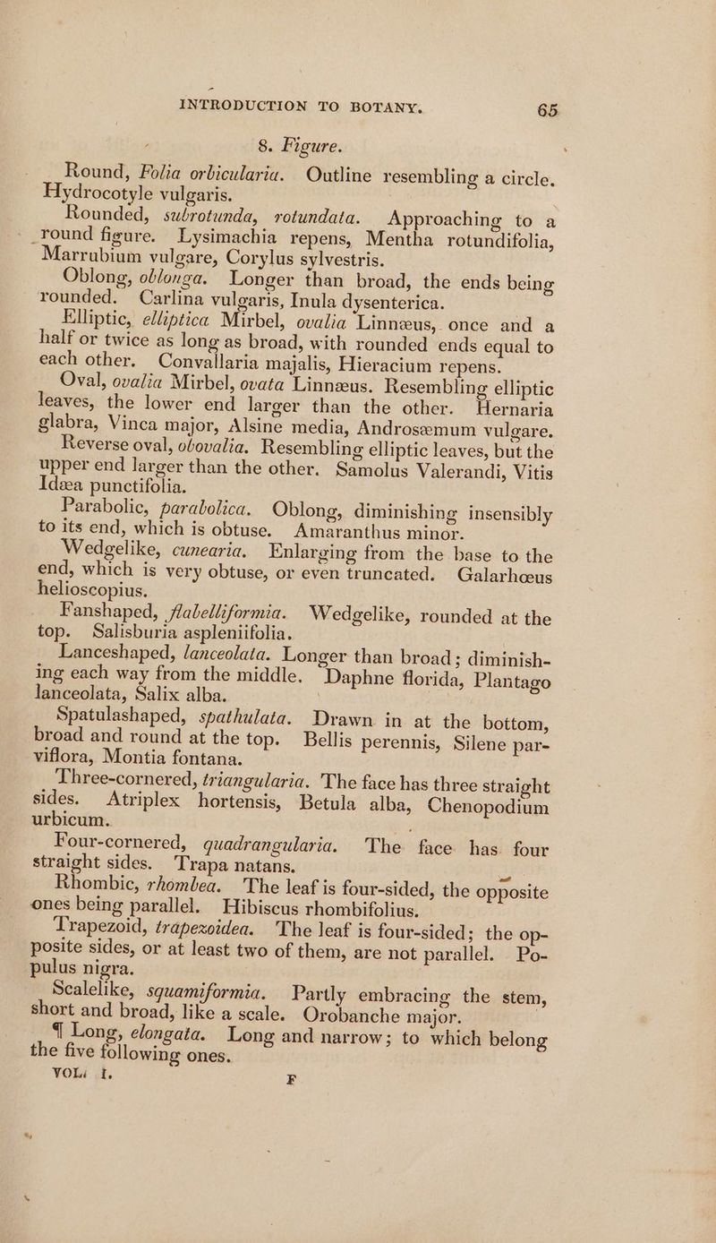 - INTRODUCTION TO BOTANY. 65. 8. Figure. Round, Folia orbicularia. Outline resembling a circle. Hydrocotyle vulgaris. Rounded, subrotunda, rotundata. Approaching to a __round figure. Lysimachia repens, Mentha rotundifolia, Marrubium vulgare, Corylus sylvestris. Oblong, oblonga. Longer than broad, the ends being rounded. Carlina vulgaris, Inula dysenterica. | Elliptic, elliptica Mirbel, ovalia Linneeus, once and a half or twice as long as broad, with rounded ends equal to each other. Convallaria majalis, Hieracium repens. Oval, ovalia Mirbel, ovata Linneeus. Resembling elliptic leaves, the lower end larger than the other. Hernaria glabra, Vinca major, Alsine media, Androswmum vulgare. Reverse oval, obovalia. Resembling elliptic leaves, but the upper end larger than the other. Samolus Valerandi, Vitis Idea punctifolia. Parabolic, parabolica. Oblong, diminishing insensibly to its end, which is obtuse. Amaranthus minor. Wedgelike, cunearia. Enlarging from the base to the end, which is very obtuse, or even truncated. Galarhceus helioscopius. Fanshaped, flabelliformia. Wedgelike, rounded at the top. Salisburia aspleniifolia. Lanceshaped, lanceolata. Longer than broad; diminish- ing each way from the middle. “Daphne florida, Plantago lanceolata, Salix alba. 3 : Spatulashaped, spathulata. Drawn in at the bottom, broad and round at the top. Bellis perennis, Silene par- viflora, Montia fontana. Three-cornered, triangularia. The face has three straight sides. Atriplex hortensis, Betula alba, Chenopodium urbicum. - Four-cornered, quadrangularia. The face has. four straight sides. rapa natans. wo. Rhombic, rhombea. The leaf is four-sided, the opposite ones being parallel. Hibiscus rhombifolius. Trapezoid, trapexoidea. The leaf is four-sided; the op- posite sides, or at least two of them, are not parallel. Po- pulus nigra. | Scalelike, squamiformia. Partly embracing the stem, short and broad, like a scale. Orobanche major. { Long, elongata. Long and narrow; to which belong the five following ones. VOL ff. F