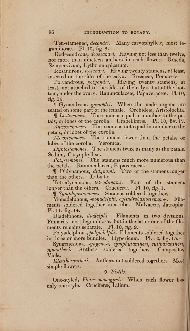 Ten-stamened, decandri. Many caryophyllez, most le- sa eevee PI. 10, fig. 5. | Dodecandrous, dodecandri. Having not less than twelve, — nor more than nineteen anthers in each flower. Reseda, — Sempervivum, Lythrum spicatum. Icosandrous, icosandri. Having twenty stamens, at least, inserted on the sides of the calyx. Rosacee, Pomacee. Polyandrous, polyandri. Having twenty stamens, at — least, not attached-to the sides of the calyx, but at the bot- tom, under the ovary. Ranunculaces, Papaveracese. Pl. 10, fie. 15. “a Gynandrous, gynandri. When the male organs are — seated on some part of the female. Orchidew, Aristolochia. — €| Isostemones. ‘The stamens equal in number to the pe- — tals, or lobes of the corolla. Umbelliferee. Pl.10, fig. 17. . Anisostemones. The stamens not equal in number to the — petals, or lobes of the corolla. Meiostemones. ‘The stamens fewer than the petals, or ae of the corolla. Veronica. Dyplostemones. The stamens twice as many as the petals. — Dhyes Caryophyllex. , Polystemones. ‘The stamens much more numerous than the petals. Ranunculaceze, Papaveracee. aq {| Didynamous, didynami. ‘Two of the stamens longer _ than the others. Labiateze. e Tetradynamous, tetradynami. Four of the stamens — longer than the others. Crucifere. PI. 10, fig. 1. z €| Symphyostemones. Stamens soldered together. : Monadelphous, monadelphi, cylindr obasiostemones. Fila- ments soldered together ina tube. Malvaceae, Jatropha. Pl. 11, fig. 14. i Diadelphous, diadelpht. Filaments in two divisions. Fumaria, most leguminosze, but. in the latter one of the flat ments remains separate. Pl. 10, fig. 9. i | Polyadelphous, polyadelphi. Filaments soldered together q in three or more bundles. Hypericum. Pl. 10, fig. 15.- — Syngenesious, syngenest, symphytantheri, cylindrantheri, | synanthert. Anthers — soldered together. Composite, | Viola. 7 Eleutherantheri.- Anthers not soldered together. Most. simple flowers. : 9. Pastils. q One-styled, Flores monogynt. When each flower has only one style. Cruciferae, Lilium.