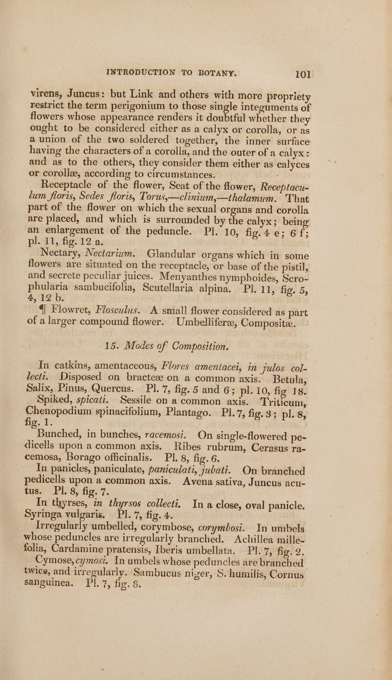 virens, Juncus: but Link and others with more propriety restrict the term perigonium to those single integuments of flowers whose appearance renders it doubtful whether they ought to be considered either as a calyx or corolla, or as a union of the two soldered together, the inner surface having the characters of a corolla, and the outer of a calyx: and as to the others, they consider them either as calyces or corollz, according to circumstances. Receptacle of the flower, Seat of the flower, Receptacu- lum floris, Sedes floris, Torus,—clinium,—thalamum. That part of the flower on which the sexual organs and corolla are placed, and which is surrounded by the calyx; being an enlargement of the peduncle. Pi. 10, fig.4e; 6 f3 pl. 11, fig. 12 a. Nectary, Nectariwm. Glandular organs which in some flowers are situated on the receptacle, or base of the pistil, and secrete peculiar juices. Menyanthes nymphoides, Scro- phularia sambucifolia, Scutellaria alpina. PI. 11, fig. 5, 4, 12 b. €| Flowret, Flosculus. A small flower considered as part of a larger compound flower. Umbellifera, Composite. 15. Modes of Composition. In catkins, amentaceous, Flores amentacei, in julos col- lectt. Disposed on bracteze on a common axis. Betula, Salix, Pinus, Quercus. PI. 7, fig. 5 and 6; pl. 10, fig 18. Spiked, spicatt. Sessile on a common axis. Triticum, Chenopodium spinacifolium, Plantago. PI. 7, fig. 3; pl. 8, fig. 1. : ”Bunched, in bunches, racemosi. On single-flowered pe- dicells upon a common axis. Ribes rubrum, Cerasus ra- cemosa, Borago officinalis. Pl. 8, fig. 6. In panicles, paniculate, paniculati, jubati. On branched pedicells upon a common axis. Avena sativa, Juncus acu- tus. PI. 8, fig. 7. In thyrses, in thyrsos collecti. In a close, oval panicle. Syringa vulgaris. PI. 7, fig. 4. Irregularly umbelled, corymbose, corymbosi. In umbels whose peduncles are irregularly branched. Achillea mille- folia, Cardamine pratensis, Iberis umbellata. Pl. 7, fig..2. Cymose, cymosi. In umbels whose peduncles are branched twice, and irregularly. Sambucus niger, S. humilis, Cornus sanguinea. Pl. 7, fig. 8.