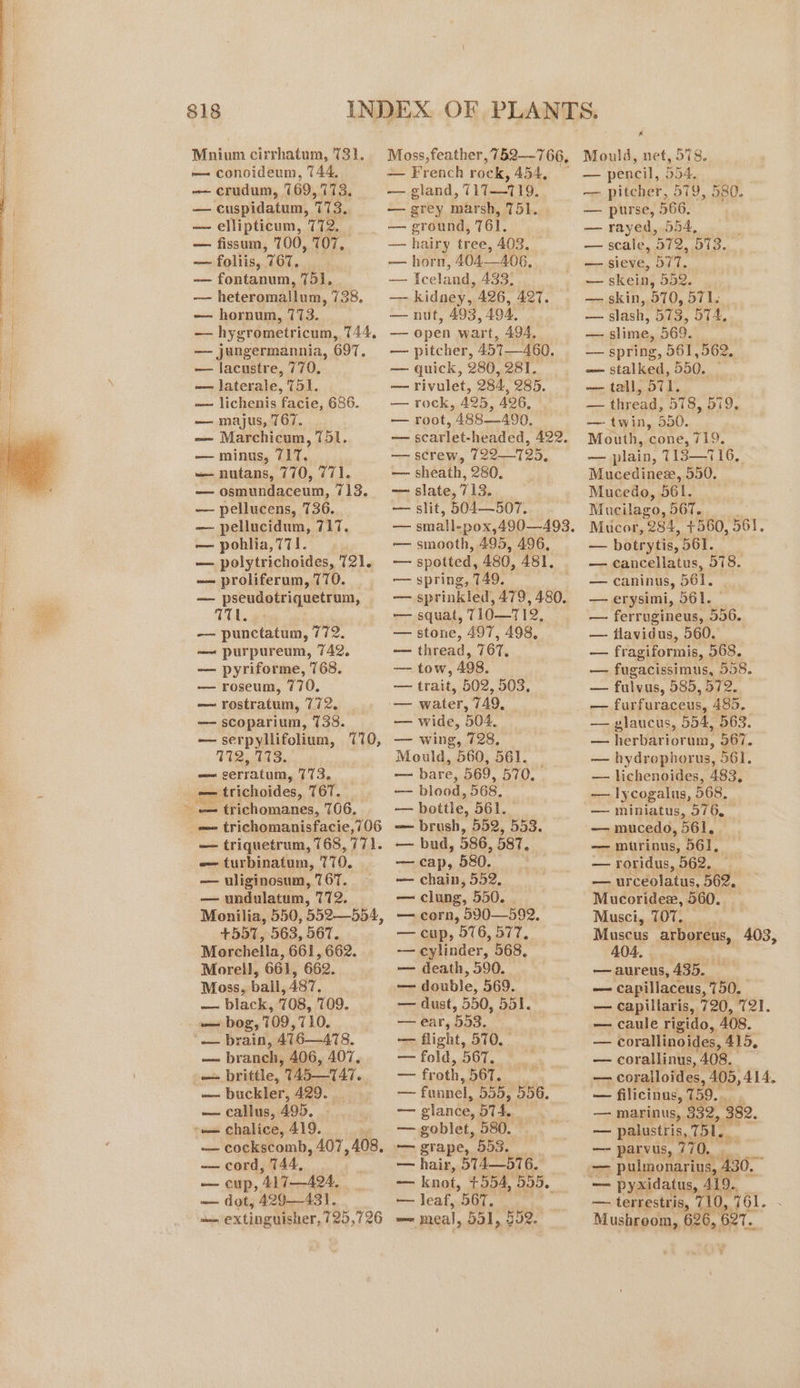 x Mnium cirrhatum, 731. Moss,feather,752—-766, Mould, net, 578. — conoideum, 744, — French rock, 454, © — pencil, 554. H — crudum, 769,773, — gland, 717—T719. —— pitcher, 579, 580. — cuspidatum, 713. — grey marsh, 751. — purse, 566. — ellipticum, 772. — ground, 761. — rayed, 554, | — fissum, 700, 107, — hairy tree, 403. — scale, 572, 573.. — foliis, W6T, — horn, 404—406, — sieve, BIT, — fontanum, 751, . — Iceland, 433. — skein, 552. — heteromallum, 738. — kidney, 426, 427. . — skin, 570, 571. — hornum, 773. — nut, 493, 494, — slash, 573, 574, @ — hygrometricum, 744. — open wart, 494, — slime, 569. fi — jungermannia, 697, — pitcher, 457—460. — spring, 561,562, | ' —- lacustre, 770. — quick, 280, 281. — stalked, 550. | Fa — laterale, 751. — rivulet, 284, 285. — tall, 571. } — lichenis facie, 686. — rock, 425, 426, — thread, 578, 579, | — majus, 767. — root, 488—490., — twin, 550. — Marchicum, 751. — scarlet-headed, 422. Mouth, cone, 719. — minus, 717. —— screw, 722—725, — plain, T1IS—716,. — nutans, 770, 771. — sheath, 280. Mucedinez, 550. — osmundaceum, 713. — slate, 713. Mucedo, 561. — pellucens, 736. — slit, 504—507. Mucilago, 567. — pellucidum, 717. — small-pox,490—493. Mucor, 284, +560, 561, — pohlia, 771. — smooth, 495, 496, = botrytis, 561. — polytrichoides, 721. — spotted, 480, 481. — cancellatus, 578. -— proliferum, 770. —— spring, T49. on caninus, 561, — pseudotriquetrum, | — sprinkled, 479,480. — erysimi, 561. oe TTL. — squat, T1IO—T12, — ferrugineus, 556. a — punctatum, 772. — stone, 497, 498, — flavidus, 560. — purpureum, 742. — thread, 767, — fragiformis, 568. — pyriforme, 768. — tow, 498. — fugacissimus, 558. — roseum, 770. — trait, 502, 503, pes fulv.us, 585, 572. — rostratum, 772. -— water, 749, — furfuraceus, 485. — scoparium, 738. — wide, 504. — glaucus, 554, 563. — serpyllifolium, 770, —- wing, 728. es herbarioram, 567. T2413. Mould, 560, 561. _ — hydrophorus, 561. iii serratum, ai Se — bare, 569, 570, — lichenoides, 483, ae - trichoides, T6T. — blood, 568. ae lycogalus, 568, - — trichomanes, 766. — bottle, 561. — miniatus, 576, — trichomanisfacie,/06 — brush, 552, 553. —_ mucedo, 561. — triquetrum, 768,771. — bud, 586, 587, — mutrinus, 561. -— turbinatum, 770. — cap, 580. — roridus, 562. — uliginosum, 767. = — chain, 552. — urceolatus, 562, — undulatum, 772. _ clung, 550. Mucoridee, 560... Monilia, 550, 552—5b4, — corn, 590—592. Musci, 707. +59K, 563, 567. — cup, 576, 577, Muscus arboreus, 403, Morchella, 661, 662. — cylinder, 568, 404, Morell, 661, 662. — death, 590. - —aureus, 435. Moss, ball, 487. ——~ double, 569. — capillaceus, 750. — black, 708, 709. — dust, 550, 551. — capillaris, 720, 721. — bog, 709,710. — ear, 553. — caule rigido, 40S. — brain, 476—478. — flight, 570. — corallinoides, 415, — branch, 406, 407. = fold, DOr a — corallinus, 408. — — brittle, T4547. — froth, DOT. — coralloides, 405, AIA, — buckler, 429. — funnel, 555, 556. — filicinus, 159. ao CaM AUD. Fay glance, BTL ni — marinus, 332, 382, me chalice, 419. . —goblet, 580. _ — palustris, Tl. — cockscomb, 407,408. — grape, 553. —- parvus, 770, — cord, 744, — hair, 574—576. — pulmonarius, 6- — cup, 417424. — knot, +554, 555. —— pyxidatus, 419. — dot, 429—431. — leaf, 567, — terrestris, 710, 761. — extinguisher,725, 7126 me meal, 551,552. - _ Mushroom, 626, 627.