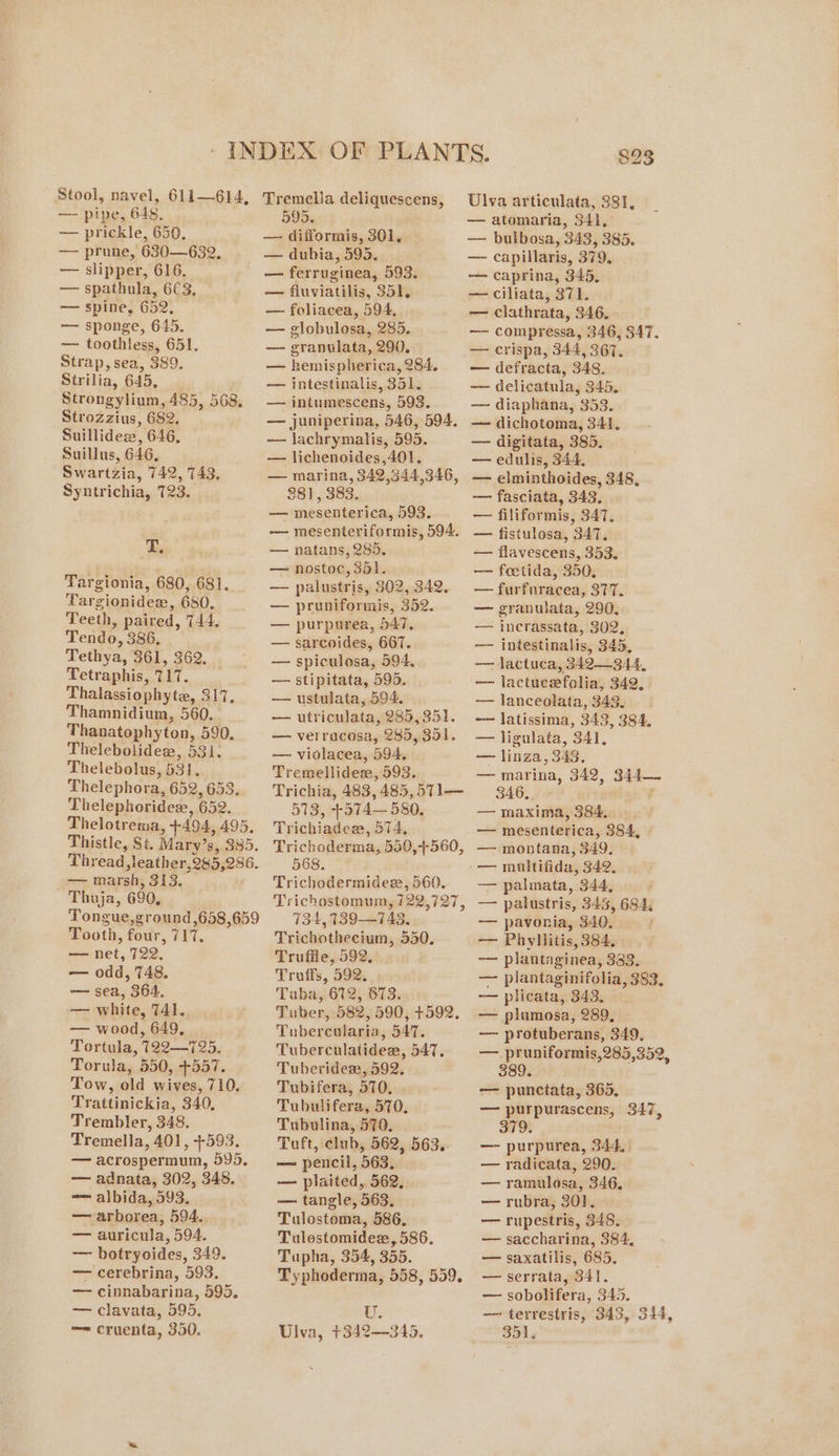 Stool, navel, 61i—614, — pipe, 648. — prickle, 650. — prune, 630—632. — slipper, 616. — spathula, 6€3, — spine, 652, — sponge, 645. — toothless, 651. Strap, sea, 389. Strilia, 645, Strongylium, 485, 568. Strozzius, 682, Suillidez, 646, Suillus, 646, Swartzia, 742, 743, Syntrichia, 723. T. Targionia, 680, 681. Targionidex, 680, Teeth, paired, 744, Tendo, 386. / Tethya, 361, 362. Tetraphis, 717. Thalassiophyte, 317, Thamnidium, 560. Thanatophyton, 590, Thelebolidezw, 531: Thelebolus, 531. Thelephora, 652, 653. Thelephorides, 652. Thelotrema, +494, 495, Thistle, Si. Mary’s, 385. Thread, leather,245,286. — marsh, 313. Thuja, 690. Tongue,ground,658,659 Tooth, four, 717. — net, 722. — odd, 748. — sea, 364. — white, 741. — wood, 649, Tortula, 122—725. Torula, 550, +557. Tow, old wives, 710. Trattinickia, 340, Trembler, 348. Tremella, 401, 4-593. — acrospermum, 595. — adnata, 302, 348. = albida, 593. — arborea, 594. — auricula, 594. — botryoides, 349. — cerebrina, 593. — cinnabarina, 595, — clavata, 595, == cruenta, 350. $23 Tremella deliquescens, Ulva articulata, 381, 595. — atomaria, 341,° — difformis, 301, — bulbosa, 343, 385. — dubia, 595. — capillaris, 379. — ferruginea, 593. — fluviatilis, 351, — foliacea, 594, — globulosa, 285. — granuilata, 290. — hemispherica, 284. — intestinalis, 351. — intumescens, 593. — juniperina, 546, 594, — lachrymatis, 595. — caprina, 345, — ciliata, 371. . — clathrata, 346. — compressa, 346, 347. — crispa, 344, 367. — defracta, 348. — delicatula, 345. — diaphana, 353. — dichotoma, 341. — digitata, 385. — lichenoides,401!, — edulis, 344, — marina, 342,344,346, — elminthoides, 348, 381, 383. — fasciata, 343. — mesenterica, 593. -—— mesenteriformis, 594. — natans, 285. — nostoc, 5d. — palustris, 302, 342. — pruniformis, 352. — purpurea, 547, — sarcoides, 667. — spiculosa, 594, — stipitata, 595. — ustulata, 594, — utriculata, 285,351. — verracosa, 285, 351. — filiformis, 347, — fistulosa, 347, — flavescens, 353. —— foetida, 350, — furfuracea, 377. — granulata, 290, — incrassata, 302, —— intestinalis, 345, — lactuca, 342-344, — lactucefolia, 342, — lanceolata, 343. -— latissima, 343, 384, — ligulata, 341, — vidlacea, 594, — linza, 343. Tremellideze, 593. — marina, 342, 344— Trichia, 483,485,5T1— = 346, - 513, +574—580, Trichiadeew, 574, Trichoderma, 550,+560, 568. Trichodermidez, 560. Trichostomum, 122,727, 734, 139—748, Trichothecium, 550. Truffle, 592, Troffs, 592, Tuba, 672, 673. Tuber, 582, 590, +592. Tubercularia, 547. Tuberculatidese, 547. Tuberidesx, 592, Tubifera, 570, Tubulifera, 570, — maxima, 384, — mesenterica, 384, - —- montana, 349, — multifida, 342, — palmata, 344, — palustris, 343, 684, —— pavonia, 340. — Phyllitis, 384, — plantaginea, 383. — plantaginifolia, 383, — plicata;s 343. * — plumosa, 289, — protuberans, 349, — pruniformis,285,352, 389. . — punctata, 365, — purpurascens, 347, Tubulina, 570. 379. Tuft, club, 562, 563. — purpurea, 344, | — peicil, 563, — radicata, 290. — plaited, 562, — ramulosa, 346. — tangle, 563. — rubra, 301. Tulostoma, 586, — rupestris, 348. Tulostomidexr, 586. — saccharina, 384, Tupha, 354, 355. —— saxatilis, 685. Typhoderma, 558, 559. — serrata, 341. — sobolifera, 345. — terrestris, 343, 344, 351, U. Ulva, +342—345.