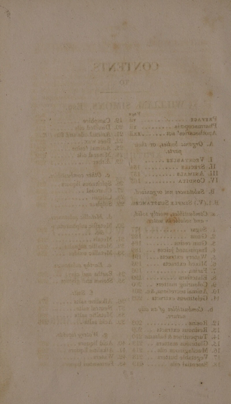 é aaa eee aa ier (na et iW a. Ce Sn ae AN 8 } ; Pe lh et 4; ~ aa i ae Teak) pet RAEaRY Te eonaaaes allan oo) MY sows ces Mow Cae ee “dio batten Ba ty a ea 9 ea0 ® a ell a 5 asa Saki. some ed ARR 6 oe vee te eas he fon ene dO U sree) en Ven le Bat 4 . ous mire hemiok 2S seh ao asibot MY cae civ e BM ee ee? Ty Phas 8 Me i east Aa BSR eR To ie ‘ae hie Se pa exsaaraas¥ ¥ a MER fee Ree eae * are $0 Wie neg ee t eee ce aa ree (eines it a ye Pe ya dateds &gt; Se Neg Mame Sal naoitpal auousizigd ee OE Sree it ae eam nce are ee) yg lata ae we oY Neog a a i ts pose a ee re a Asingsteey ti : ‘sh ay yom ent He ee At oe bewasa dé e4 ee . x 5 by } Mie Bais MIR eats aa avoes Ngth. oa ay ru nae ae Oo eae pas ir oo co ive. : zs &lt; kK e oat * | it, tok ee sabixe ial fi ae ce q * 4 eosin t een ore ‘ boa ee i'l... etomsaes vio VE ' | dia es _ aepnddn whip ee ie aes GOR XS hoxilf he # frst » Hens ' oo @ @ eee yes fr ACP aM ot ng do. ine atin de. eee hats toa é ho ON I RUE a Are: fe VEY anusizogs ia wont a ‘fies aanode | ee QOD ce retin gai oe si % an AI (ah anvitovone lie fous pilon-ontledl A Ps a egS. f setts 8 * * «4 alae ene Te Ss an ssh8i | ie Ba wile oitiaici Rat oth it i bes vielge ‘etcope ues’ ee ‘ge. “gut tide e ee } h Bh sch safe sostiag ¥ yoriate’e senile fink, ok, ee ss BIStIANN ai Jot wotips sailed 14) ER oa, ye auG ait 7 hei NA en SABIE