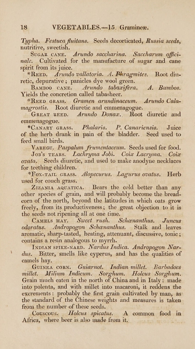 Typha. Festuca fluitans. Seeds decorticated, Russia seeds, nutritive, sweetish. SuGAR CANE. Arundo saccharina. Saccharum offici- nale. Cultivated for the manufacture of sugar and cane spirit from its juice. *Reep. Arundo vallatoria. A. Phragmites. Root diu- retic, depurative ; panicles dye wool green. Bampoo cane. drundo tabaxifera. A. Bambos. Yields the concretion called tabasheer. *REED GRASS. Gramen arundinaceum. Arundo Cala- magrostis. Root diuretic and emmenagogue. | GREAT REED. &lt;Arundo Donax.. Root diuretic and emmenagogue. | | *Canary crass. Phalaris. P. Canariensis. Juice of the herb drank in pain of the bladder. Seed used to feed small birds. Varecu. Paspalum frumentaceum. Seeds used for food. Joz’s TEARS. Lachryma Jobi. Cox Lacryma. Coix ovata, Seeds diuretic, and used to make anodyne necklaces for teething children. . *Fox-TaiL crass. &lt;dlopecurus. Lagurus ovatus. Herb used for couch grass. Zizania aquatica. Bears the cold better than any other species of grain, and will probably become the bread- corn of the north, beyond the latitudes in which oats grow freely, from its productiveness; the great objection to it is the seeds not ripening all at one time. i CamMeEts Hay. Sweet rush. MSchananthus. - Juncus odoratus. Andropogon Schenanthus. Stalk and. leaves aromatic, sharp-tasted, heating, attenuant, discussive, tonic ; contains a resin analogous to myrrh. INDIAN sPIKE-NaRD. Nardus Indica. Andropogon Nar- dus. Bitter, smells like cyperus, and has the qualities of camels hay. GUINEA coRN. Guiarnot. Indian millet. Barbadoes millet. Milium Indicum. Sorghum. Holcus Sorghum. Grain much eaten in the north of China and in Italy: made into polenta, and with millet into macaroni, it reddens ‘the excrements: probably the first grain cultivated by man, as’ the standard of the Chinese weights and measures is taken from the number of these seeds. 7 Couscous. _ Holcus spicatus. A common food in Africa, where beer is also made from it.