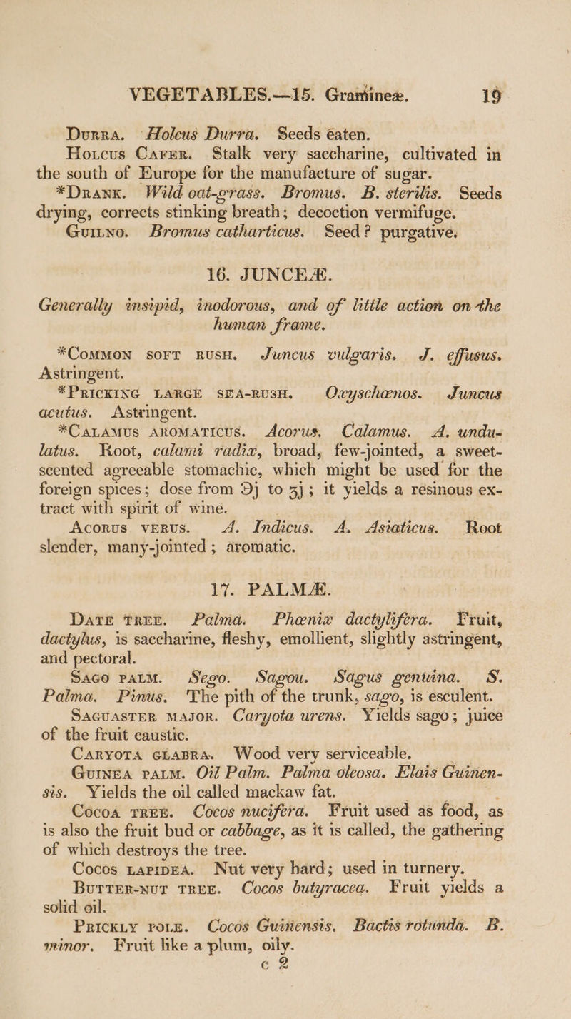 Durra. Holeus Durra. Seeds éaten. Hoicus Carer. Stalk very saccharine, cultivated in the south of Europe for the manufacture of sugar. ¥*Dranx. Wild oat-grass. Bromus. B. sterilis. Seeds dryimg, corrects stinking breath; decoction vermifuge. Guitno. Bromus catharticus. Seed? purgative. 16. JUNCE. Generally insipid, tnodorous, and of little action on the human frame. *CoMMON sort RUSH. Juncus vulgaris. J. effusus. Astringent. *PRICKING LARGE SEA-RUSH. Owyschaenos. Juncus acutus. Astringent. *CaLAMUS AROMATICUS. &lt;Acorus, Calamus. A. undu- latus. Root, calami radix, broad, few-joited, a sweet- scented agreeable stomachic, which. might be used for the foreign spices; dose from 9j to 3); it yields a resinous ex- tract with spirit of wine. Acorus verus. 4. Indicus. A. Astaticus. Root slender, many-jointed ; aromatic. 17. PALMA. Date tree. Palma. Phenix dactylifera. Fruit, dactylus, 1s saccharine, fleshy, emollient, slightly astringent, and pectoral. Saco patm. Sego. Sagou. Sagus genuina. WS. Palma. Pinus. The pith of the trunk, sago, is esculent. SacuasTER Masor. Caryota urens. Yields sago; juice of the fruit caustic. Caryors ciasra. Wood very serviceable. Guinea rato. Oil Palm. Palma oleosa. Elais Guinen- sis. Yields the oil called mackaw fat. Cocoa tree. Cocos nucifera. Fruit used as food, as is also the fruit bud or cabbage, as it 1s called, the gathering of which destroys the tree. Cocos tapipEA. Nut very hard; used in turnery. BuTTER-NuT TREE. Cocos butyraced. Fruit yields a solid oil. | Prickiy rote. Cocos Guinensis. Bactis rotunda. B. minor. Fruit hke a plum, oer Cc 2