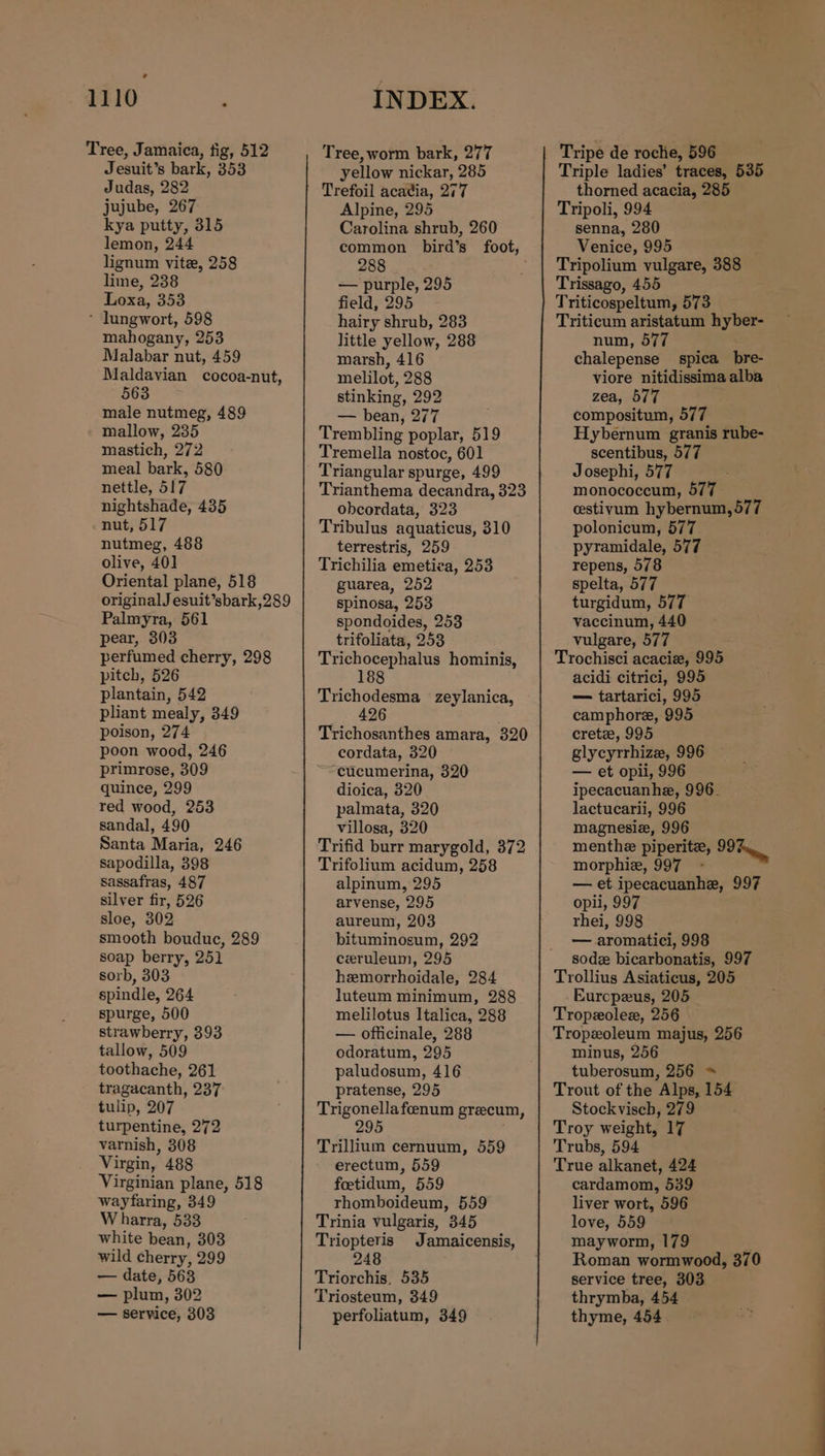 Tree, Jamaica, tig, 512 Jesuit’s bark, 353 Judas, 282 jujube, 267 kya putty, 315 lemon, 244 lignum vite, 258 lime, 238 Loxa, 353 * lungwort, 598 mahogany, 253 Malabar nut, 459 Maldavian cocoa-nut, 563 male nutmeg, 489 mallow, 235 mastich, 272 meal bark, 580 nettle, 517 nightshade, 435 nut, 517 nutmeg, 488 olive, 40] Oriental plane, 518 originalJ esuit’sbark,289 Palmyra, 561 pear, 303 perfumed cherry, 298 pitch, 526 plantain, 542 pliant mealy, 349 poison, 274 poon wood, 246 primrose, 309 quince, 299 red wood, 253 sandal, 490 Santa Maria, 246 sapodilla, 398 sassafras, 487 silver fir, 526 sloe, 302 smooth boudue, 289 soap berry, 251 yellow nickar, 285 Alpine, 295 Carolina shrub, 260 common bird’s foot, 288 — purple, 295 field, 295 hairy shrub, 283 Tripe de roche, 596 Triple ladies’ traces, 535 thorned acacia, 285 Tripoli, 994 senna, 280 Venice, 995 Tripolium vulgare, 388 Trissago, 455 Triticospeltum, 573 Triticum aristatum hyber- little yellow, 288 marsh, 416 melilot, 288 stinking, 292 — bean, 277 Trembling poplar, 519 Tremella nostoc, 601 Triangular spurge, 499 Trianthema decandra, 323 obcordata, 323 Tribulus aquaticus, 310 terrestris, 259 Trichilia emetiea, 253 guarea, 252 spinosa, 253 spondoides, 253 trifoliata, 253 Trichocephalus hominis, 188 Trichodesma zeylanica, Trichosanthes amara, 320 cordata, 320 “cucumerina, 320 dioica, 320 palmata, 320 villosa, 320 Trifid burr marygold, 372 Trifolium acidum, 258 alpinum, 295 arvense, 295 aureum, 203 bituminosum, 292 ceruleum, 295 num, 577 chalepense spica_bre- viore nitidissima alba zea, 577 compositum, 577 Hybernum granis rube- scentibus, 577 Josephi, 577 monococeum, 577 cstivum hybernum,577 polonicum, 577 pyramidale, 577 repens, 578 spelta, 577 turgidum, 577 vaccinum, 440 vulgare, 577 acidi citrici, 995 — tartarici, 995 camphore, 995 crete, 995 glycyrrhize, 996 — et opii, 996 ipecacuanhe, 996. lactucarii, 996 magnesiz, 996 menthe piperite, 99% morphie, 997 - — et ipecacuanhe, 997 opii, 997 . rhei, 998 — aromatici, 998 sode bicarbonatis, 997 sorb, 303 spindle, 264 spurge, 500 strawberry, 393 tallow, 509 toothache, 261 tragacanth, 237 hemorrhoidale, 284 luteum minimum, 288 melilotus Italica, 288 — officinale, 288 odoratum, 295 paludosum, 416 pratense, 295 Trollius Asiaticus, 205 Eurcpeus, 205 Tropzoles, 256 Tropzoleum majus, 256 minus, 256 tuberosum, 256 » Trout of the Alps, 154 tulip, 207 Trigonellafoeenum greecum, Stockvisch, 279 turpentine, 272 295 Troy weight, 17 varnish, 308 Trillium cernuum, 559 Trubs, 594 Virgin, 488 Virginian plane, 518 wayfaring, 349 W harra, 533 True alkanet, 424 cardamom, 539 liver wort, 596 love, 559 erectum, 559 foetidum, 559 rhomboideum, 559 Trinia vulgaris, 345 white bean, 303 Triopteris Jamaicensis, mayworm, 179 : wild cherry, 299 248 Roman wormwood, 370 — date, 563 Triorchis, 535 service tree, 303 — plum, 302 Triosteum, 349 thrymba, 454 — service, 303 perfoliatum, 349 thyme, 454