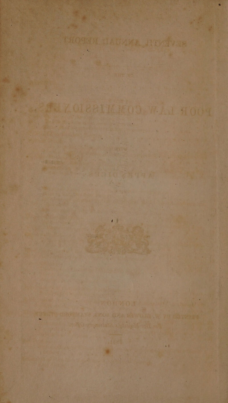 Nyhan ate ry ? ‘ i dala Hy as ir o PAC: aa , sid Aart