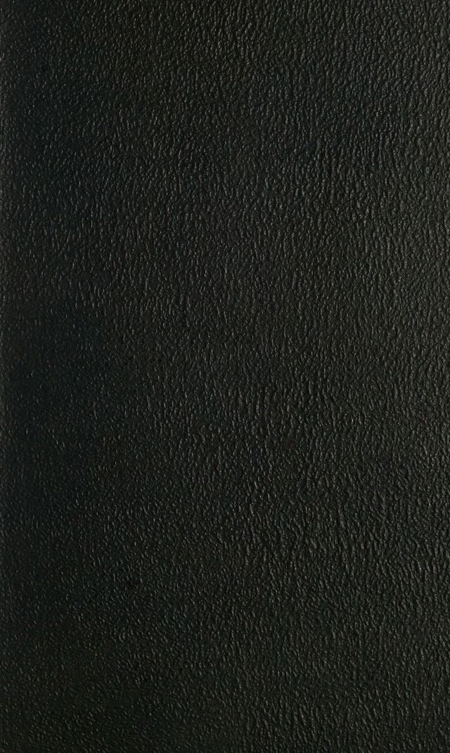 digitised image 1