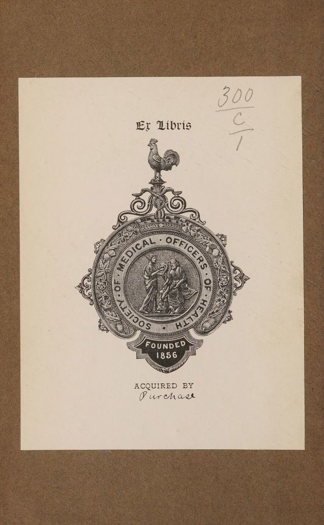 digitised image 2