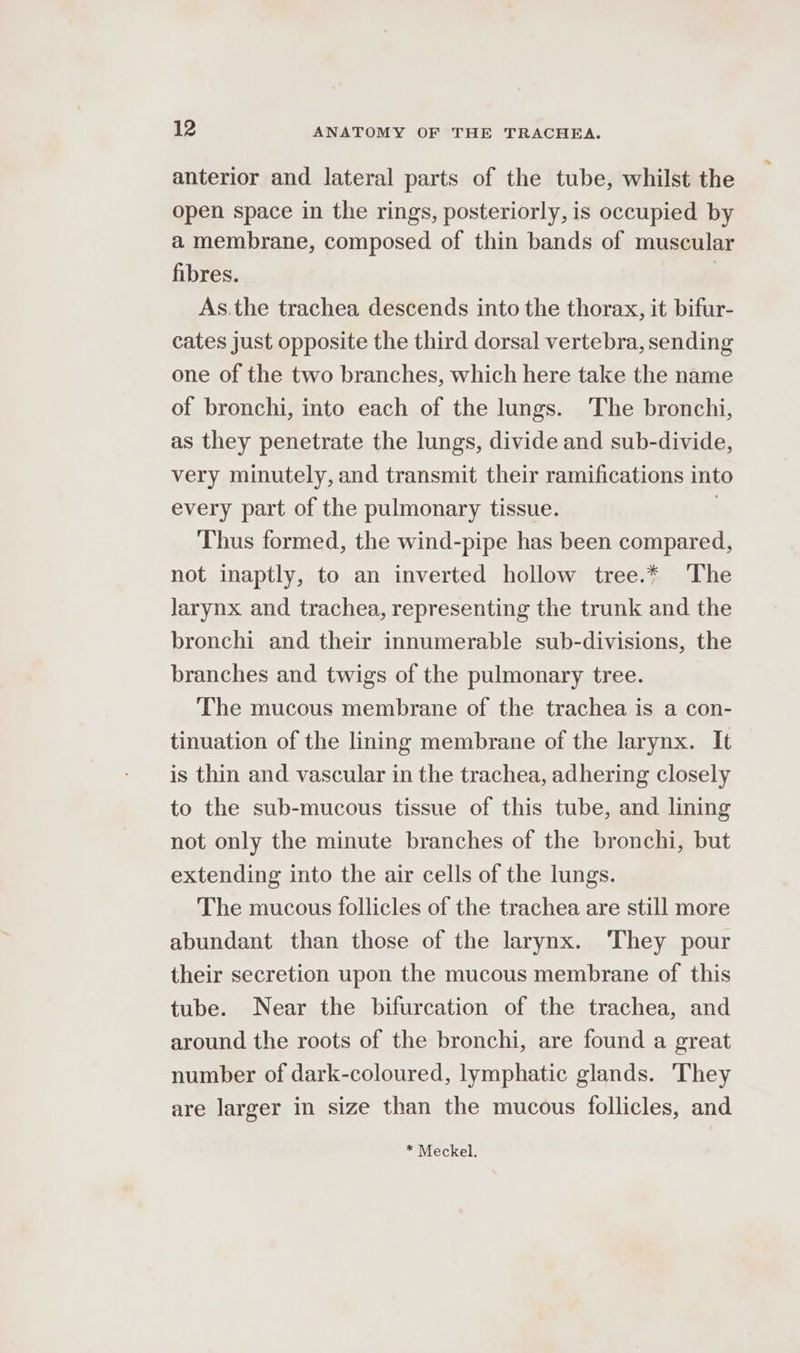 anterior and lateral parts of the tube, whilst the open space in the rings, posteriorly, is occupied by a membrane, composed of thin bands of muscular fibres. | As.the trachea descends into the thorax, it bifur- cates just opposite the third dorsal vertebra, sending one of the two branches, which here take the name of bronchi, into each of the lungs. The bronchi, as they penetrate the lungs, divide and sub-divide, very minutely, and transmit their ramifications into every part of the pulmonary tissue. | Thus formed, the wind-pipe has been compared, not inaptly, to an inverted hollow tree.* The Jarynx and trachea, representing the trunk and the bronchi and their innumerable sub-divisions, the branches and twigs of the pulmonary tree. ‘The mucous membrane of the trachea is a con- tinuation of the lining membrane of the larynx. It is thin and vascular in the trachea, adhering closely to the sub-mucous tissue of this tube, and lining not only the minute branches of the bronchi, but extending into the air cells of the lungs. The mucous follicles of the trachea are still more abundant than those of the larynx. They pour their secretion upon the mucous membrane of this tube. Near the bifurcation of the trachea, and around the roots of the bronchi, are found a great number of dark-coloured, lymphatic glands. They are larger in size than the mucous follicles, and * Meckel.