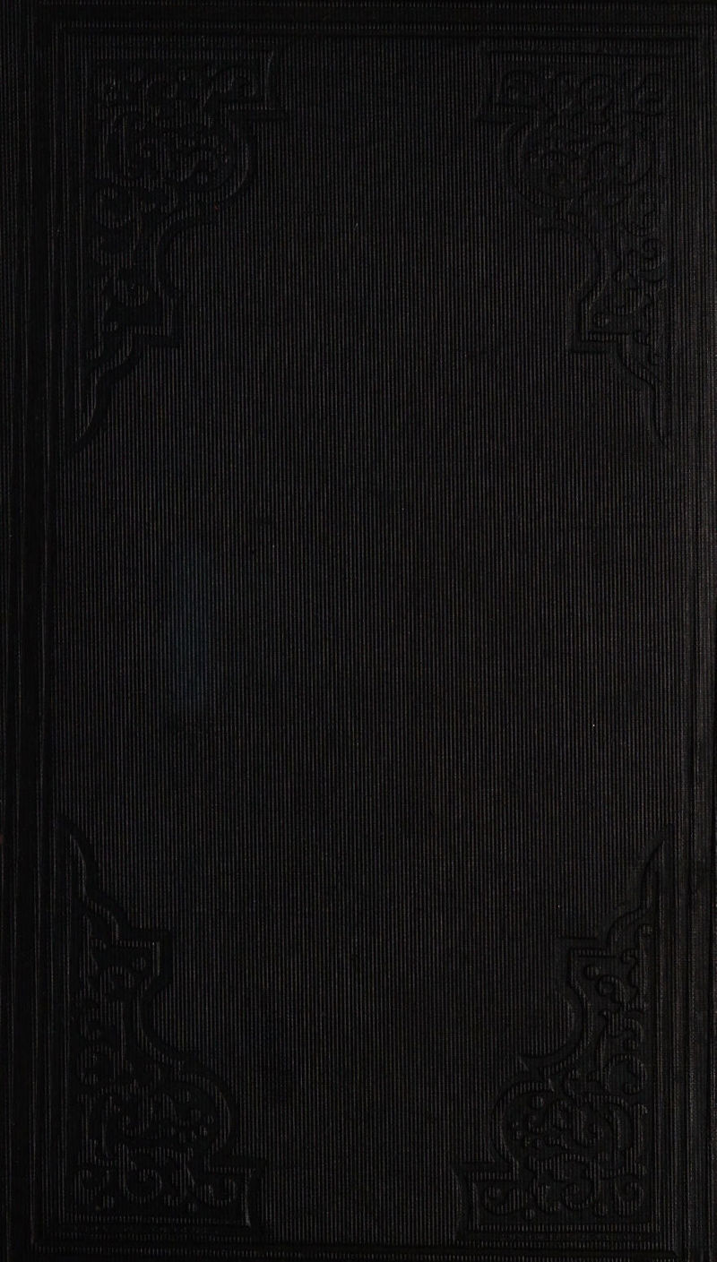 i ith it lily Wi i | il | | | | it yp Daal | | | | I i i | 1 | ty | i } | | |