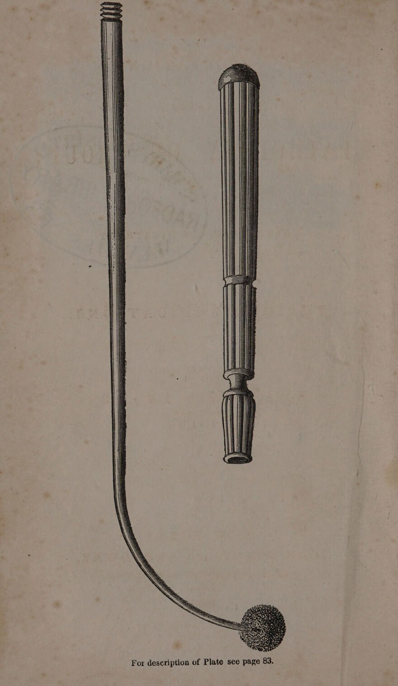 For description of Plate see page 83.