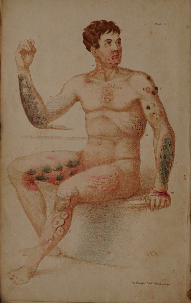 ot 70 s 7 ad ‘w ' - wr. Vy b Hag he Lule” to the, Ting. | aa ky r be hs! ‘ 4 .