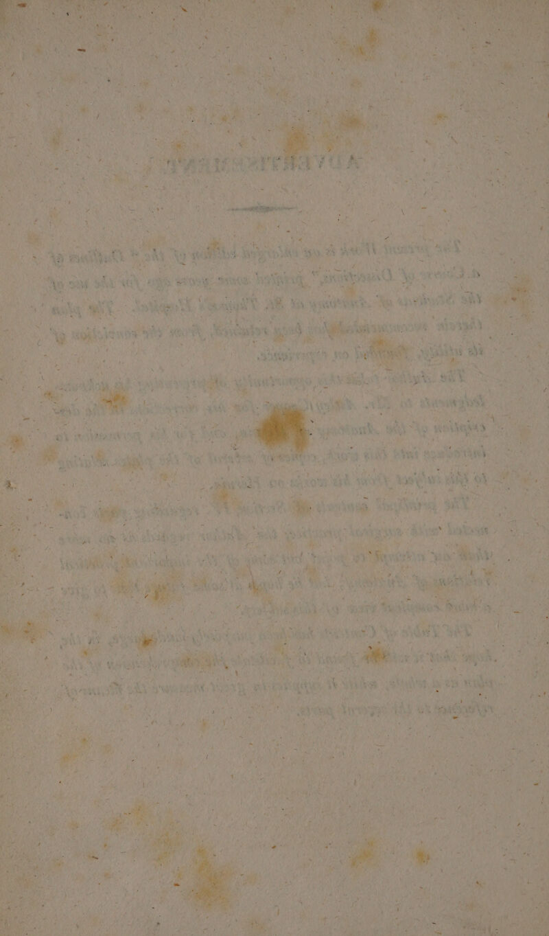 eGR oe PrP kD ‘SRY, v4 At Dey ) ie ts PS, : i \ % A °¢ - \ iy a, i hae wh ‘ ay, anal A wy Ag ye Yeu pa wh peavantyy 5 b : q 4 y ¥ a nL eee a bet) a erglgn a > oe, i 4 yy * een | aikes 4 Ws % wea