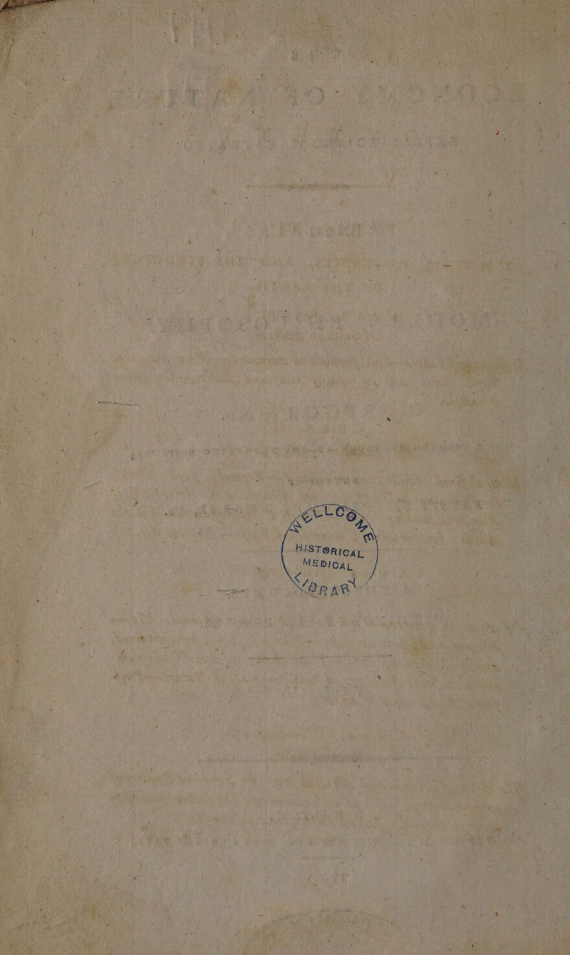 a . sas aye ee agree ets: Sen Mari: Mates ete ie? yeh ba MY Dogme hey Ad