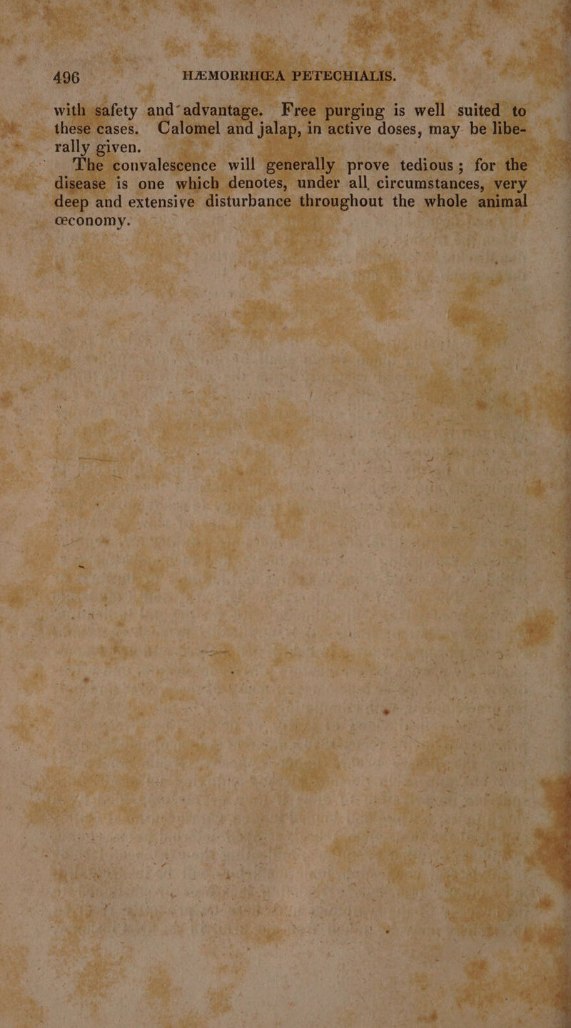 with safety and°advantage. Free purging is well suited to these cases. Calomel and jalap, in active doses, may. be libe- rally given. ' ‘The convalescence will generally prove tedious; for the disease is one which denotes, under all, circumstances, very deep and extensive disturbance throughout the whole animal ceconomy. ; i ae ae a