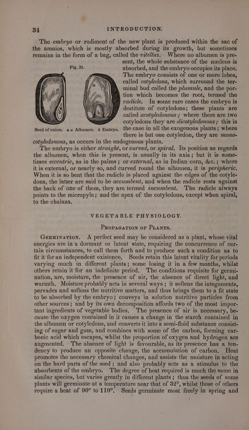 The embryo or rudiment of the new plant is produced within the sac of the amnios, which is mostly absorbed during its growth, but sometimes remains in the form of a bag, called the vztel/us. Where no albumen is pre- sent, the whole substance of the nucleus is absorbed, and the embryo occupies its place. The embryo consists of one or more lobes, called cotyledons, which surround the ter- minal bud called the plumule, and the por- i tion which becomes the root, termed the My vadicle. In some rare cases the embryo is ! destitute of cotyledons; these plants are called acotyledonous ; where there are two == cotyledons they are dzcotyledonous ; this is Seed of onion. aa Albumen. 5 Embryo. the case in all the exogenous plants; where there is but one cotyledon, they are mono- cotyledonous, as occurs in the endogenous plants. The embryo is either strazght, or curved, or spiral. Its position as regards the albumen, when this is present, is usually in its axis; but it is some- times eccentric, as in the palms; or external, as in Indian corn, &amp;c. ; where it is external, or nearly so, and curved round the albumen, it is perupherie, When it is so bent that the radicle is placed against the edges of the cotyle- dons, the latter are said to be accumbent, and when the radicle rests against the back of one of them, they are termed zacumbent. ‘The radicle always points to the micropyle; and the apex of the cotyledons, except when spiral, to the chalaza. VEGETABLE PHYSIOLOGY. PROPAGATION OF PLANTS. Germination. A perfect seed may be considered as a plant, whose vital energies are in a dormant or latent state, requiring the concurrence of cer- tain circumstances, to call them forth and to produce such a condition as to fit it for an independent existence. Seeds retain this latent vitality for periods varying much in different plants; some losing it in a few months, whilst others retain it for an indefinite period. The conditions requisite for germi- nation, are, moisture, the presence of air, the absence of direct light, and warmth. Moisture probably acts in several ways; it softens the integuments, pervades and softens the nutritive matters, and thus brings them to a fit state to be absorbed by the embryo; conveys in solution nutritive particles from other sources ; and by its own decomposition affords two of the most impor- tant ingredients of vegetable bodies. The presence of air is necessary, be- cause the oxygen contained in it causes a change in the starch contained in the albumen or cotyledons, and converts it into a semi-fluid substance consist- ing of sugar and gum, and combines with some of the carbon, forming car- bonic acid which escapes, whilst the proportion of oxygen and hydrogen are augmented. ‘The absence of light is favourable, as its presence has a ten- dency to produce an opposite change, the accumulation of carbon. Heat promotes the necessary chemical changes, and assists the moisture in acting on the hard parts of the seed ; and also probably acts as a stimulus to the absorbents of the embryo. ‘The degree of heat required is much the same in similar species, but varies greatly in different plants ; thus the seeds of some plants will germinate at a temperature near that of 32°, whilst those of others require a heat of 90° to 110°. Seeds germinate most freely in spring and