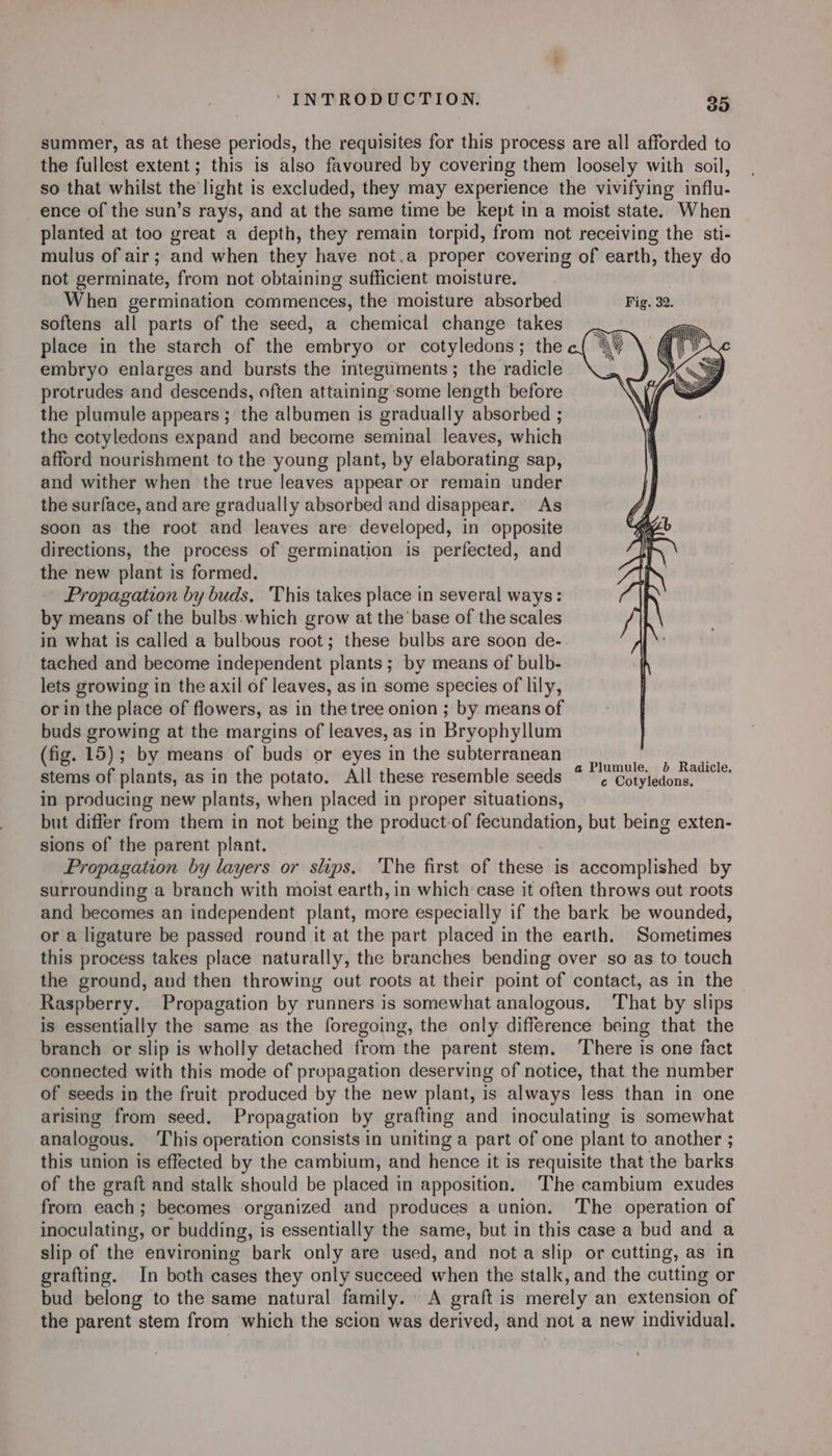 summer, as at these periods, the requisites for this process are all afforded to the fullest extent; this is also favoured by covering them loosely with soil, so that whilst the light is excluded, they may experience the vivifying influ- ence of the sun’s rays, and at the same time be kept in a moist state. When planted at too great a depth, they remain torpid, from not receiving the sti- mulus of air; and when they have not.a proper covering of earth, they do not germinate, from not obtaining sufficient moisture. When germination commences, the moisture absorbed Fig. 32. softens all parts of the seed, a chemical change takes place in the starch of the embryo or cotyledons; the c| embryo enlarges and bursts the integuments; the radicle protrudes and descends, often attaining-some length before the plumule appears ; the albumen is gradually absorbed ; the cotyledons expand and become seminal leaves, which afford nourishment to the young plant, by elaborating sap, and wither when the true leaves appear or remain under the surface, and are gradually absorbed and disappear. As soon as the root and leaves are developed, in opposite directions, the process of germination is perfected, and the new plant is formed. Propagation by buds, This takes place in several ways: by means of the bulbs which grow at the base of the scales in what is called a bulbous root; these bulbs are soon de- tached and become independent plants ; by means of bulb- lets growing in the axil of leaves, as in some species of lily, or in the place of flowers, as in the tree onion ; by means of buds growing at the margins of leaves, as in Bryophyllum (fig. 15); by means of buds or eyes in the subterranean é “ a Plumule. 6 Radicle. stems of plants, as in the potato. All these resemble seeds ¢ Cotyledons, in producing new plants, when placed in proper situations, but differ from them in not being the product-of fecundation, but being exten- sions of the parent plant. Propagation by layers or slips. ‘The first of these is accomplished by surrounding a branch with moist earth, in which case it often throws out roots and becomes an independent plant, more especially if the bark be wounded, or a ligature be passed round it at the part placed in the earth. Sometimes this process takes place naturally, the branches bending over so as to touch the ground, and then throwing out roots at their point of contact, as in the Raspberry. Propagation by runners is somewhat analogous. ‘That by slips is essentially the same as the foregoing, the only difference being that the branch or slip is wholly detached from the parent stem. There is one fact connected with this mode of propagation deserving of notice, that. the number of seeds in the fruit produced by the new plant, is always less than in one arising from seed. Propagation by grafting and inoculating is somewhat analogous. ‘This operation consists in uniting a part of one plant to another ; this union is effected by the cambium, and hence it is requisite that the barks of the graft and stalk should be placed in apposition. The cambium exudes from each; becomes organized and produces a union. The operation of inoculating, or budding, is essentially the same, but in this case a bud and a slip of the environing bark only are used, and not a slip or cutting, as in grafting. In both cases they only succeed when the stalk, and the cutting or bud belong to the same natural family. A graft is merely an extension of the parent stem from which the scion was derived, and not a new individual.