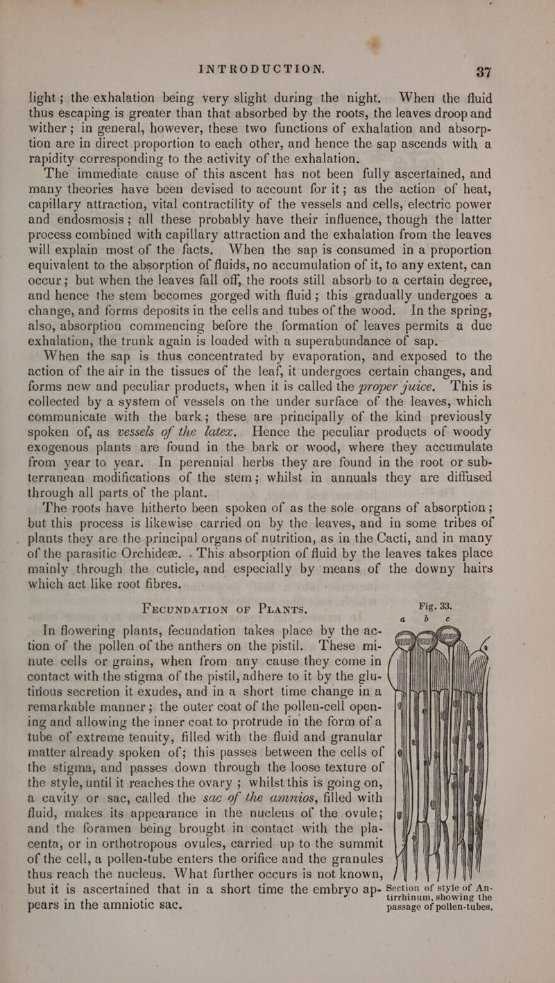 light; the exhalation being very slight during the night. When the fluid _ thus escaping is greater than that absorbed by the roots, the leaves droop and wither ; in general, however, these two functions of exhalation and absorp- tion are in direct.proportion to each other, and hence the sap ascends with a rapidity corresponding to the activity of the exhalation. The immediate cause of this ascent has not been fully ascertained, and many theories have been devised to account for it; as the action of heat, capillary attraction, vital contractility of the vessels and cells, electric power and endosmosis; all these probably have their influence, though the latter process combined with capillary attraction and the exhalation from the leaves will explain most of the facts. When the sap is consumed in a proportion equivalent to the absorption of fluids, no accumulation of it, to any extent, can occur; but when the leaves fall off, the roots still absorb to a certain degree, and hence the stem becomes gorged with fluid; this gradually undergoes a change, and forms deposits in the cells and tubes of the wood. In the spring, also, absorption commencing before the formation of leaves permits a due exhalation, the trunk again is loaded with a superabundance of sap. ‘When the sap is thus concentrated by evaporation, and exposed to the action of the air in the tissues of the leaf, it undergoes certain changes, and forms new and peculiar products, when it is called the proper juice. This is collected by a system of vessels on the under surface of the leaves, which communicate with the bark; these. are principally of the kind previously spoken of, as vessels of the latex.. Hence the peculiar products of woody exogenous plants are found in the bark or wood, where they accumulate from year to year. In perennial herbs they are found in the root or sub- terranean modifications of the stem; whilst in annuals they are diffused through all parts.of the plant. The roots have hitherto been spoken of as the sole organs of absorption ; but this process is likewise carried on by the leaves, and in some tribes of _ plants they are the principal organs of nutrition, as in the Cacti, and in many of the parasitic Orchideze. . This absorption of fluid by the leaves takes place mainly through the cuticle, and especially hae means of the downy hairs which act like root fibres. FEcuNDATION oF PLANTs. In flowering plants, fecundation takes place by the ac- tion of the pollen of the anthers on the pistil. These mi- nute cells or grains, when from any cause they come in contact with the stigma of the pistil, adhere to it by the glu- tirious secretion it exudes, and in a short time change ina remarkable manner ;. the outer coat of the pollen-cell open- ing and allowing the inner coat to protrude in the form of a tube of extreme tenuity, filled with the fluid and granular matter already spoken of; this passes between the cells of the stigma, and passes down through the loose texture of the style, until it reaches the ovary ; whilst this is going on, a cavity or sac, called the sac of the ammnios, filled with fluid, makes its appearance in the nucleus of the ovule; and the foramen being brought in contact with the pla- centa, or in orthotropous ovules, carried up to the summit of the cell, a pollen-tube enters the orifice and the granules thus reach the nucleus. What further occurs is not known, but it is ascertained that in a short time the embryo ap- Section of style of An- j fous tirrhinum, showing the pears in the amniotic sac. passage of pollen-tubes,