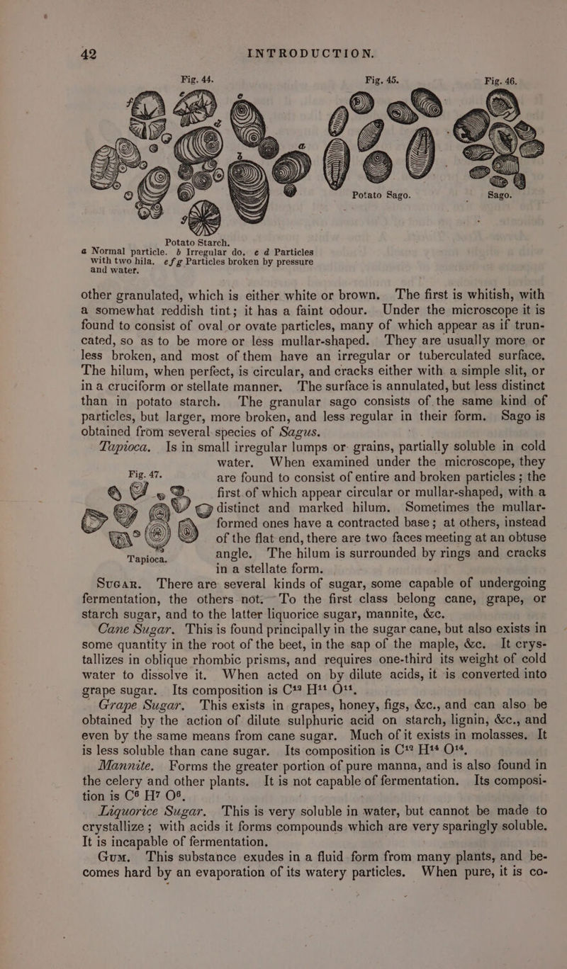 other granulated, which is either white or brown. The first is whitish, with a somewhat reddish tint; it has a faint odour. . Under the microscope it is found to consist of oval or ovate particles, many of which appear as if trun- cated, so as to be more or less mullar-shaped. They are usually more or less broken, and most of them have an irregular or tuberculated surface. The hilum, when perfect, is circular, and cracks either with a simple slit, or in a cruciform or stellate manner. The surface is annulated, but less distinct than in potato starch. The granular sago consists of the same kind of particles, but larger, more broken, and less regular in their form. Sago is obtained from several: species of Sagus. | Tapioca. Is in small irregular lumps or- grains, partially soluble in cold water. When examined under the microscope, they fh Rig are found to consist of entire and broken particles ; the 2] © @. first.of which appear circular or mullar-shaped, with a ‘Sy QV GQ iistinet and marked hilum. Sometimes the mullar- WW (x formed ones have a contracted base; at others, instead of the flat end, there are two faces meeting at an obtuse angle. The hilum is surrounded by rings and cracks in a stellate form. Suear. There are several kinds of sugar, some capable of undergoing fermentation, the others not:-~To the first class belong cane, grape, or starch sugar, and to the latter liquorice sugar, mannite, &amp;c. Cane Sugar. This is found principally in the sugar cane, but also exists in some quantity in the root of the beet, in the sap of the maple, &amp;c. It crys- tallizes in oblique rhombic prisms, and requires one-third its weight of cold water to dissolve it. When acted on by dilute acids, it is converted into grape sugar. Its composition is C*? H*? O11, _ Grape Sugar. This exists in grapes, honey, figs, &amp;c., and can also be obtained by the action of dilute sulphuric acid on starch, lignin, &amp;c., and even by the same means from cane sugar. Much of it exists in molasses. It is less soluble than cane sugar. Its composition is C1? Ht* O%, Mannite. Forms the greater portion of pure manna, and is also found in the celery and other plants. It is not capable of fermentation. Its composi- tion is C6 H7 O8, ! | Liquorice Sugar. This is very soluble in water, but cannot be made to crystallize ; with acids it forms compounds which are very sparingly soluble. It is incapable of fermentation. Gum. This substance exudes in a fluid form from many plants, and be- comes hard by an evaporation of its watery particles. When pure, it is co-