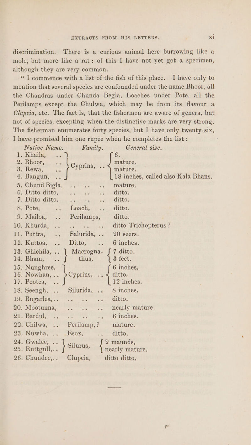 discrimination. There is a curious animal here burrowing like a mole, but more like a rat: of this I have not yet got a specimen, although they are very common. “ T commence with a list of the fish of this place. I have only to mention that several species are confounded under the name Bhoor, all the Chandras under Chunda Begla, Loaches under Pote, all the Perilamps except the Chulwa, which may be from its flavour a Clupeta, etc. The fact is, that the fishermen are aware of genera, but not of species, excepting when the distinctive marks are very strong. The fisherman enumerates forty species, but I have only twenty-six, I have promised him one rupee when he completes the list : Native Name. Family. General size. 1. Kailas ice Gui 2. Bhoor, ot) eee mature. 3. Rewa, : ypmns, ++ mature. 4. Bangun, 18 inches, called also Kala Bhans. o. Chund bigla, 2. “i... mature. 6. Ditto ditto, etic 2 oe eto: 7. Ditto ditto, bacer ees Gitte: 8. Pote, s ~i pabwech,« 2... =) citto: 9. Mailoa, .. Perilamps, ditto. 10. Khurda, .. ditto Trichopterus ? — — ; Puttra, 1... alatida,..&lt; . 20'seers. bh. ecoan) es Ditto, &gt;» 6 imches,. 13. Ghichila, .. 1 Macrogna- f 7 ditto. 14. Bham, thus, 3 feet. 15. Nunghree, 6 inches. 16. Nowhan,.. &gt;Cyprins, .. &lt; ditto. P7, Pootes, +: 12 inches. 1S. Seench,-.. ‘silurida, ..° -8 imches. Eo ueoiled,. eee ee «ECL O. 20. Mootunna, “~.. -:. &gt;. nearly mature. Ee iurdal *.. ss se fe Oh rmehESs. 22. Chilwa, .. Perilamp,? mature. oS, Wuwia, .. «SOx, e. - QenO: 24. Gwalee, .. ee 2 maunds, 25. Ruttgull,.. j nearly mature. 26, Chundee,.. Clupeia, ditto ditto.
