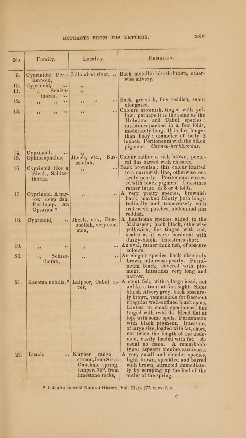 No. Locality. Family. ee Eien a 9, |Cyprinide. Peri-|Jallalabad river, .. lampoid, 10. |Cyprinoid, —«- yy ll. 3 Schizo- Ss thorax, +. 12. 9 99 ee 33 a ee 13. ° 23 seagate oe) : 14. |Cyprinoid, os i 15. |Ophiocephalus, |Jheels, etc., Bus- soollah, 16, {Cyprinoid like a e oe Bleak, Schizo- thorax. 17. |Cyprinoid. A nar- # : row deep fish. Perilamp. An Opsarion ? 18. |Cyprinoid, -.|Jheels, etc., Bus- soollah, very com- mon, 1% ‘3 rF me 20. »» Schizo- 5 ne thorax, 21. |Racoma nobilis.*|Lalpoor, Cabul ri- ver, 22. | Loach, »&gt;|Khyber range stream,from Sir-i- Chushme spring, temper. 75°, from limestone rocks, REMARKS. i LF Back metallic bluish-brown, other- wise silvery. Back greenish, fins reddish, snout elongated. low; perhaps it is the same as the Helmund and Cabul species: intestines packed in a few folds, moderately long, 43 inches longer than body: diameter of body 2 inches. Peritoneum with the black pigment. Carneo-herbivorous. Colour rather a rich brown, pecto- ral fins barred with chesnut. Back brownish: this colour limited to a narrowish line, otherwise en- tirely pearly. Peritoneum cover- ed with black pigment. Intestines rather large, in 3 or 4 folds. back, marked faintly both longi- tudinally and transversely with iridescent patches, abdominal fins reddish. A handsome species allied to the Mahaseer; back black, otherwise yellowish, fins tinged with red, scales as it were bordered with dusky-black. Intestines short. An oval, rather thick fish, of obscure colours. An elegant species, back obscurely brown, otherwise pearly. Perito- neum black, covered with pig- ment, Intestines very long and narrow. A stout fish, with a large head, not unlike a trout at first sight. Sides bluish silvery grey, back obscure- ly brown, remarkable for frequent irregular well-defined black spots, faintest in small specimens, fins tinged with reddish. Head flat at top, with some spots. Peritoneum with black pigment. Intestines of large size, loaded with fat, short, not twice the length of the abdo- men, cavity loaded with fat. As usual no ceca. A remarkable type: aspectu omnino carnivoris, A very small and slender species, light brown, speckled and barred with brown, attracted immediate- ly by scraping up the bed of the outlet of the spring. e