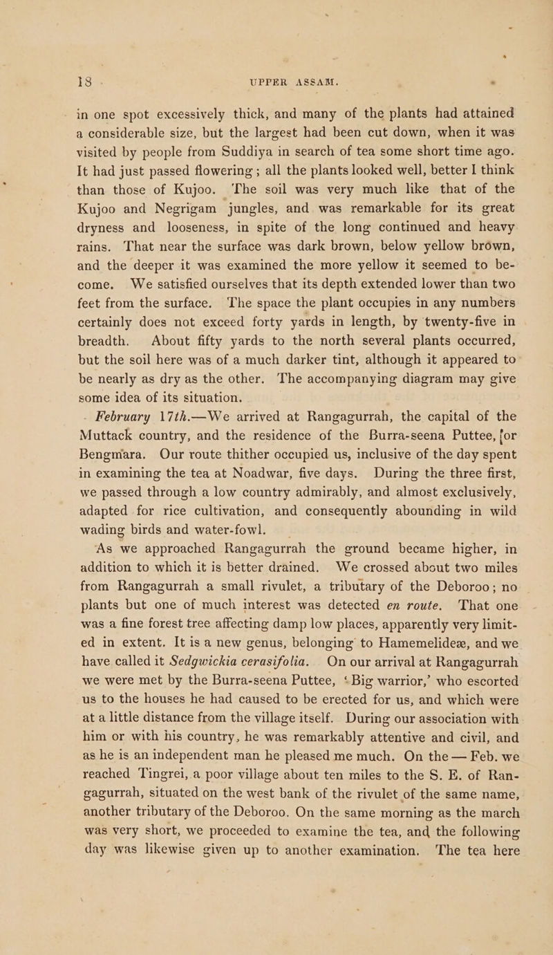 1s . UPPER ASSAM. . - in one spot excessively thick, and many of the plants had attained a considerable size, but the largest had been cut down, when it was visited by people from Suddiya in search of tea some short time ago. It had just passed flowering ; all the plants looked well, better I think than those of Kujoo. The soil was very much like that of the Kujoo and Negrigam jungles, and. was remarkable for its great dryness and looseness, in spite of the long continued and heavy rains. That near the surface was dark brown, below yellow brown, and the deeper it was examined the more yellow it seemed to be- come. We satisfied ourselves that its depth extended lower than two feet from the surface. ‘The space the plant occupies in any numbers certainly does not exceed forty yards in length, by twenty-five in breadth. About fifty yards to the north several plants occurred, but the soil here was of a much darker tint, although it appeared to be nearly as dry as the other. The accompanying diagram may give some idea of its situation. | . February 17th.—We arrived at Rangagurrah, the capital of the Muttack country, and the residence of the Burra-seena Puttee, for Bengmara. Our route thither occupied us, inclusive of the day spent in examining the tea at Noadwar, five days. During the three first, we passed through a low country admirably, and almost exclusively, adapted for rice cultivation, and consequently abounding in wild wading birds and water-fowl. __ As we approached Rangagurrah the ground became higher, in addition to which it is better drained. We crossed absut two miles from Rangagurrah a small rivulet, a tributary of the Deboroo; no — plants but one of much interest was detected en route. That one was a fine forest tree affecting damp low places, apparently very limit- ed in extent. It is a new genus, belonging’ to Hamemelidex, and we have called it Sedgwickia cerasifolia. On our arrival at Rangagurrah we were met by the Burra-seena Puttee, ‘Big warrior,’ who escorted us to the houses he had caused to be erected for us, and which were at a little distance from the village itself. During our association with him or with his country, he was remarkably attentive and civil, and as he is an independent man he pleased me much. On the — Feb. we reached Tingrei,.a poor village about ten miles to the S. E. of Ran- gagurrah, situated on the west bank of the rivulet of the same name, another tributary of the Deboroo. On the same morning as the march was very short, we proceeded to examine the tea, and the following day was likewise given up to another examination. The tea here